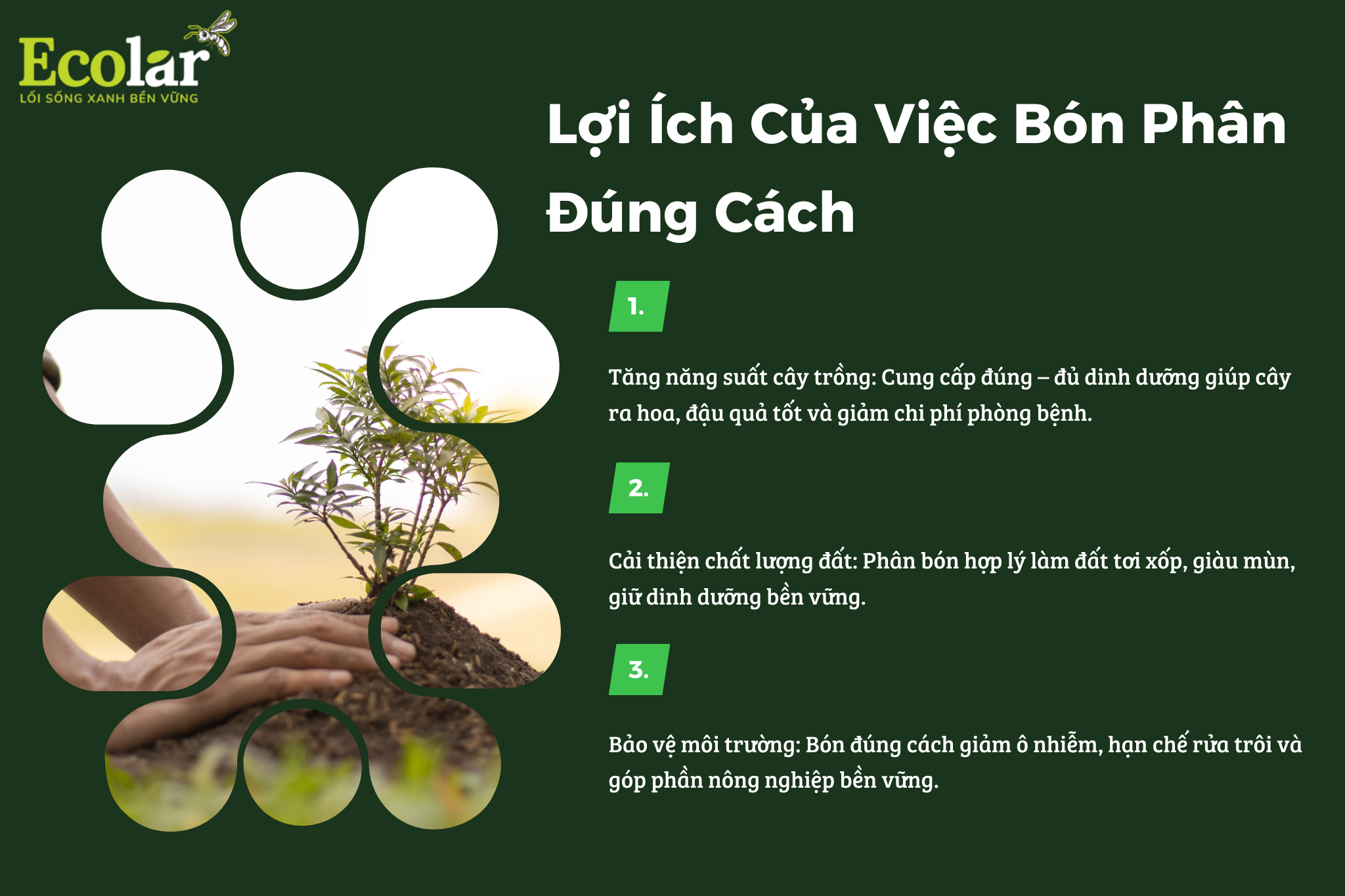 6 Bao Bì Ánh Sáng - Chuyên Gia Bao Bì PP Dệt