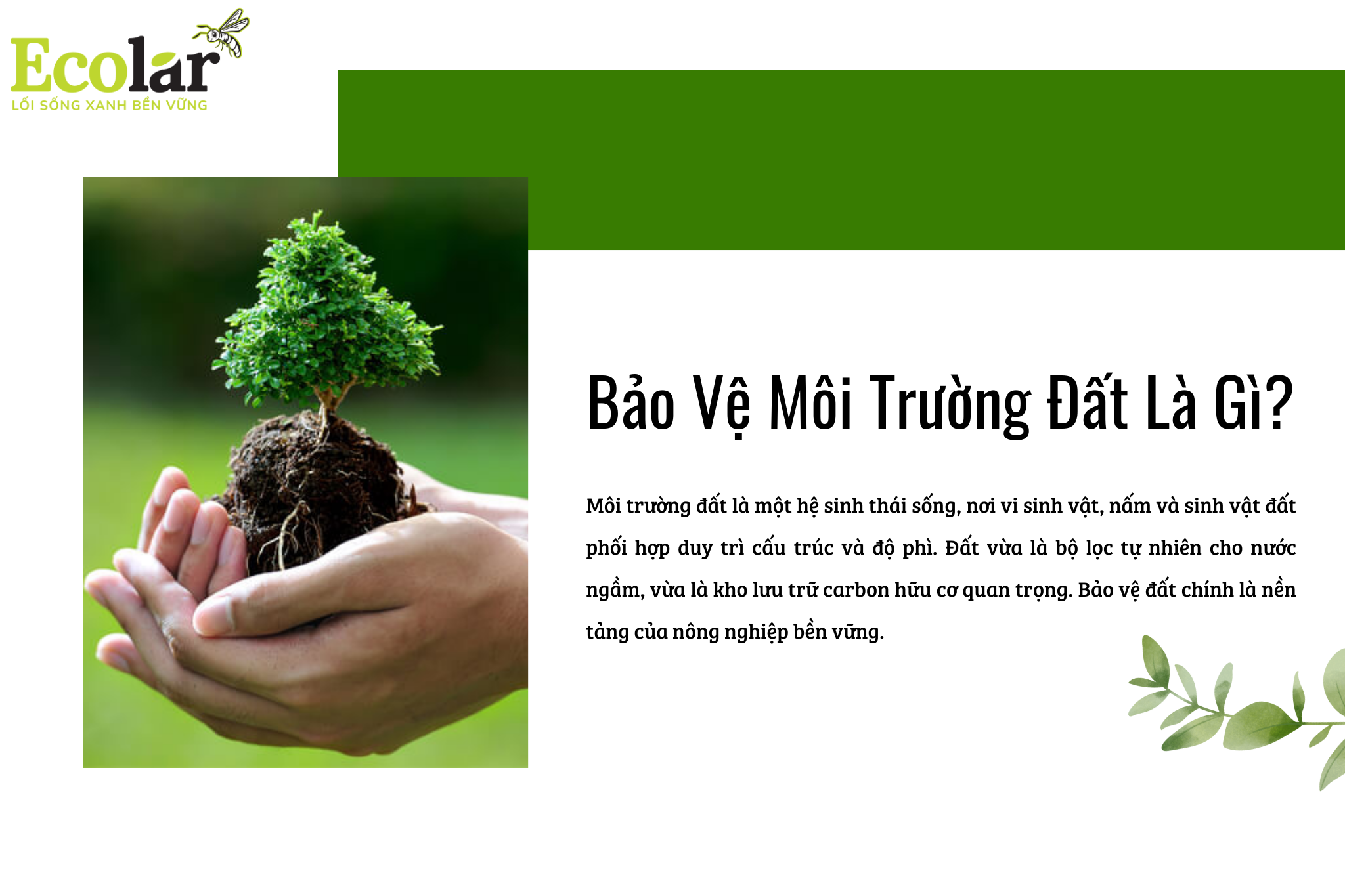 bao ve moi truong dat la gi Bao Bì Ánh Sáng - Chuyên Gia Bao Bì PP Dệt