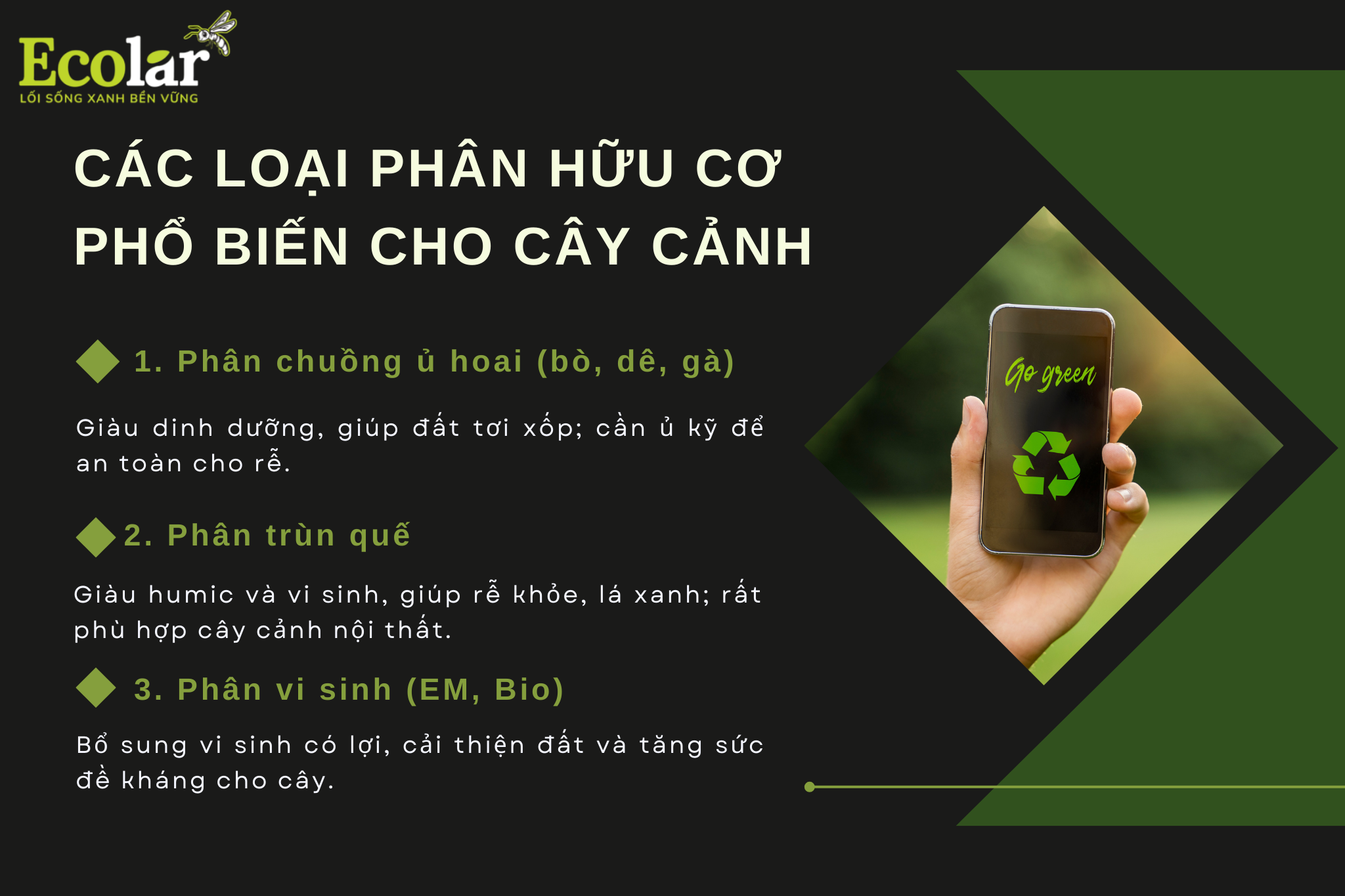 cac loai 1 Bao Bì Ánh Sáng - Chuyên Gia Bao Bì PP Dệt