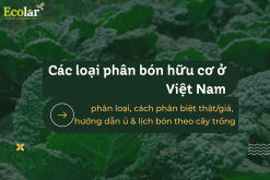 Các Loại Phân Bón Hữu Cơ Ở Việt Nam