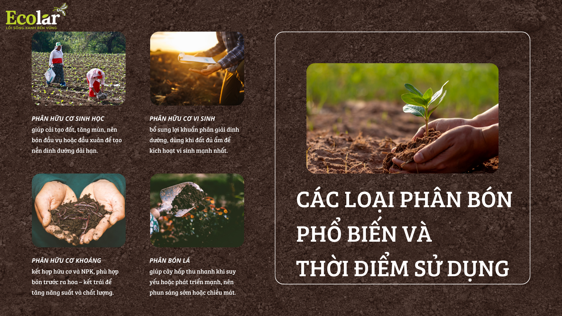 cac loai phan bon Bao Bì Ánh Sáng - Chuyên Gia Bao Bì PP Dệt