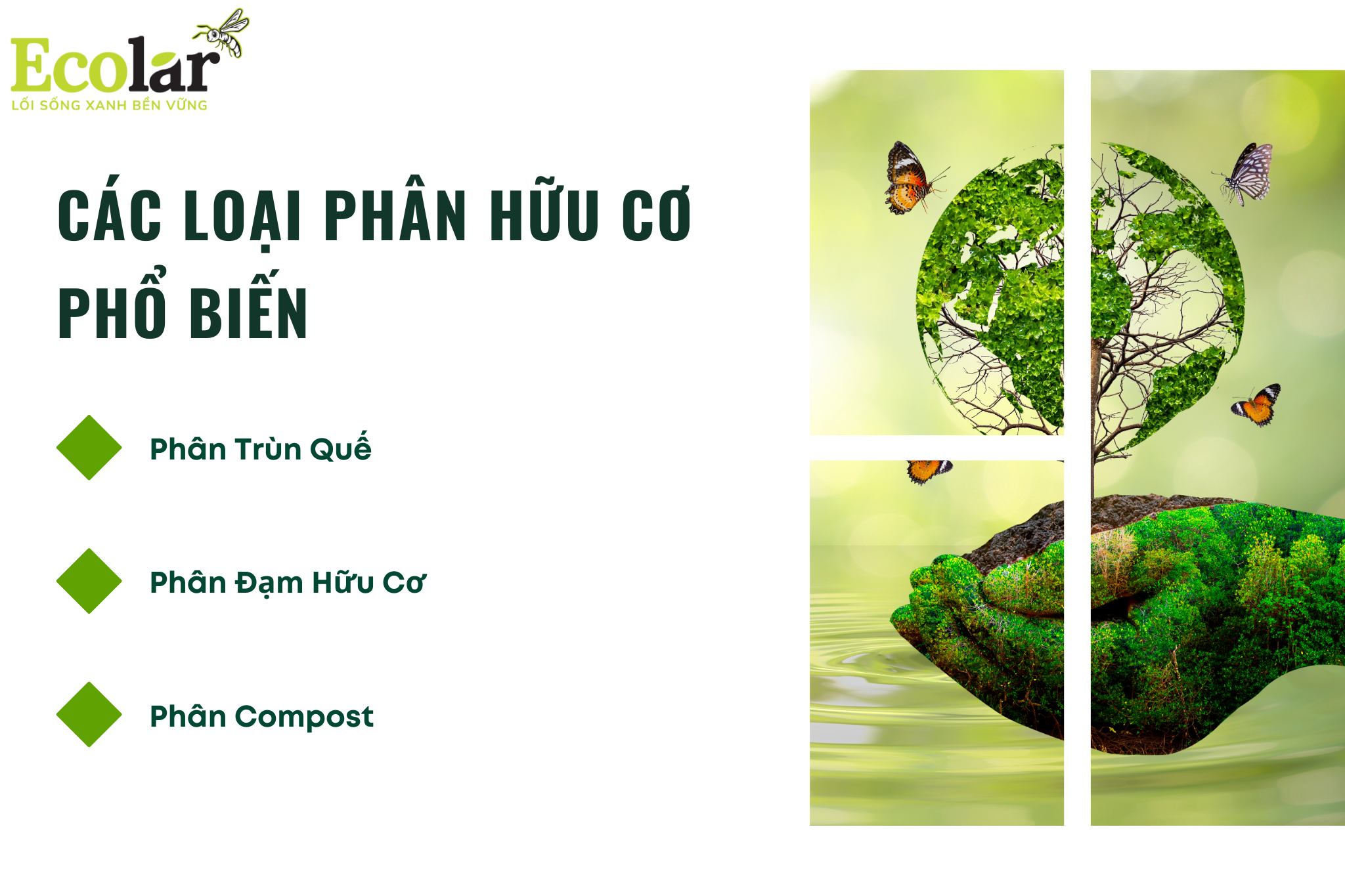cac loai phan huu co Bao Bì Ánh Sáng - Chuyên Gia Bao Bì PP Dệt