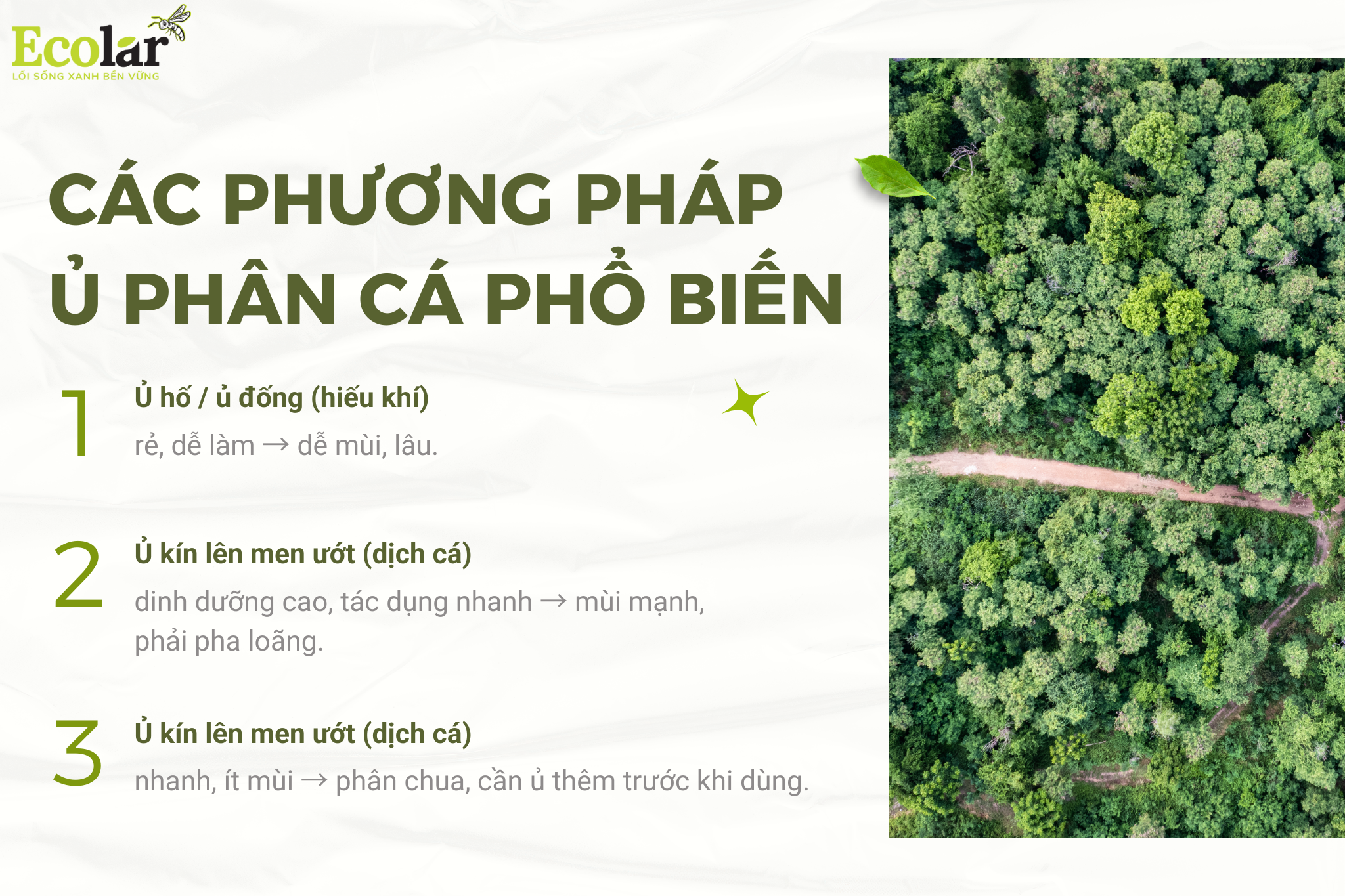 Ủ phân cá tại nhà: Quy trình, công thức và cách khử mùi 6 cac phuong phap Bao Bì Ánh Sáng - Chuyên Gia Bao Bì PP Dệt