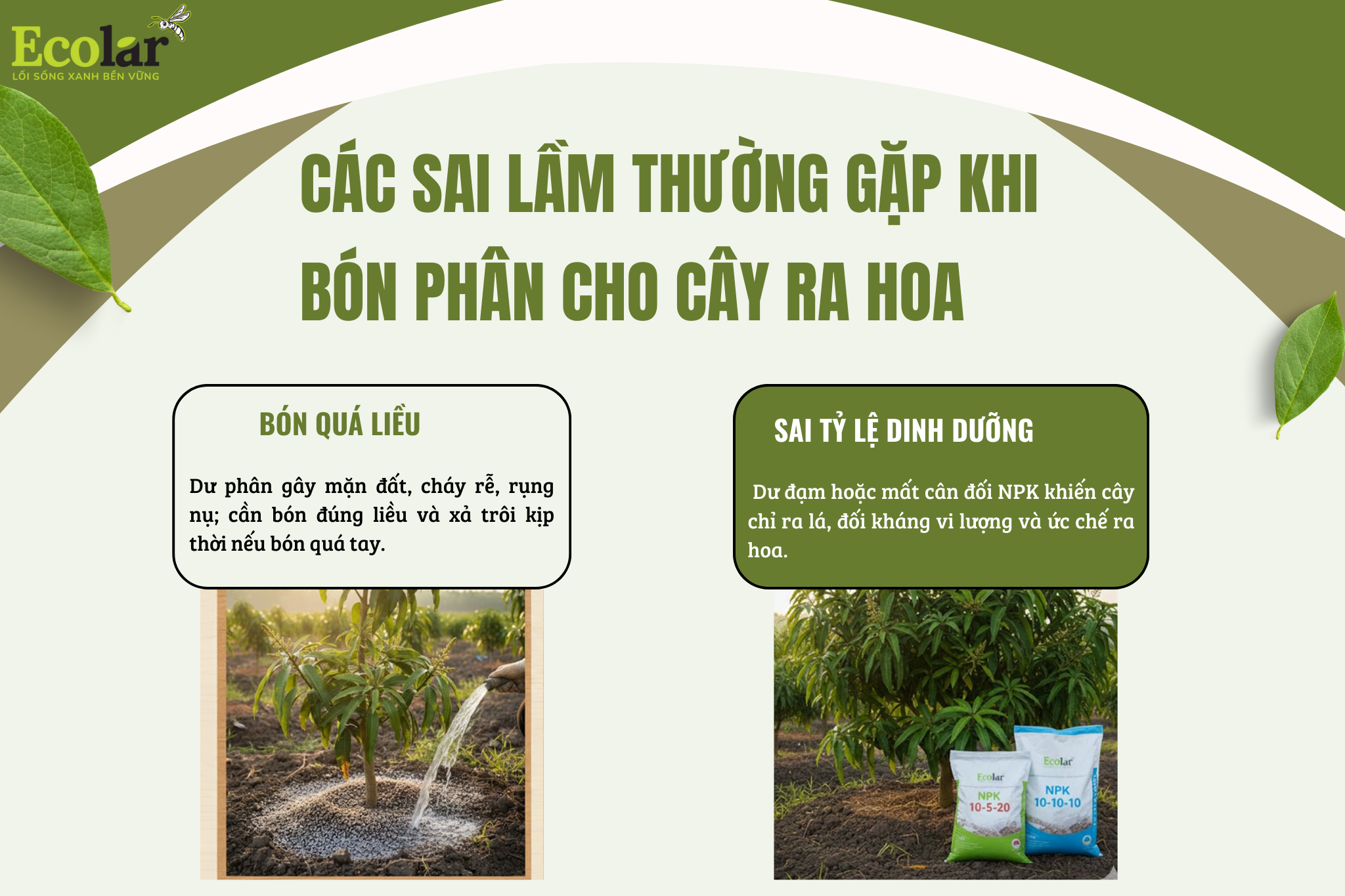 cac sai lam Bao Bì Ánh Sáng - Chuyên Gia Bao Bì PP Dệt