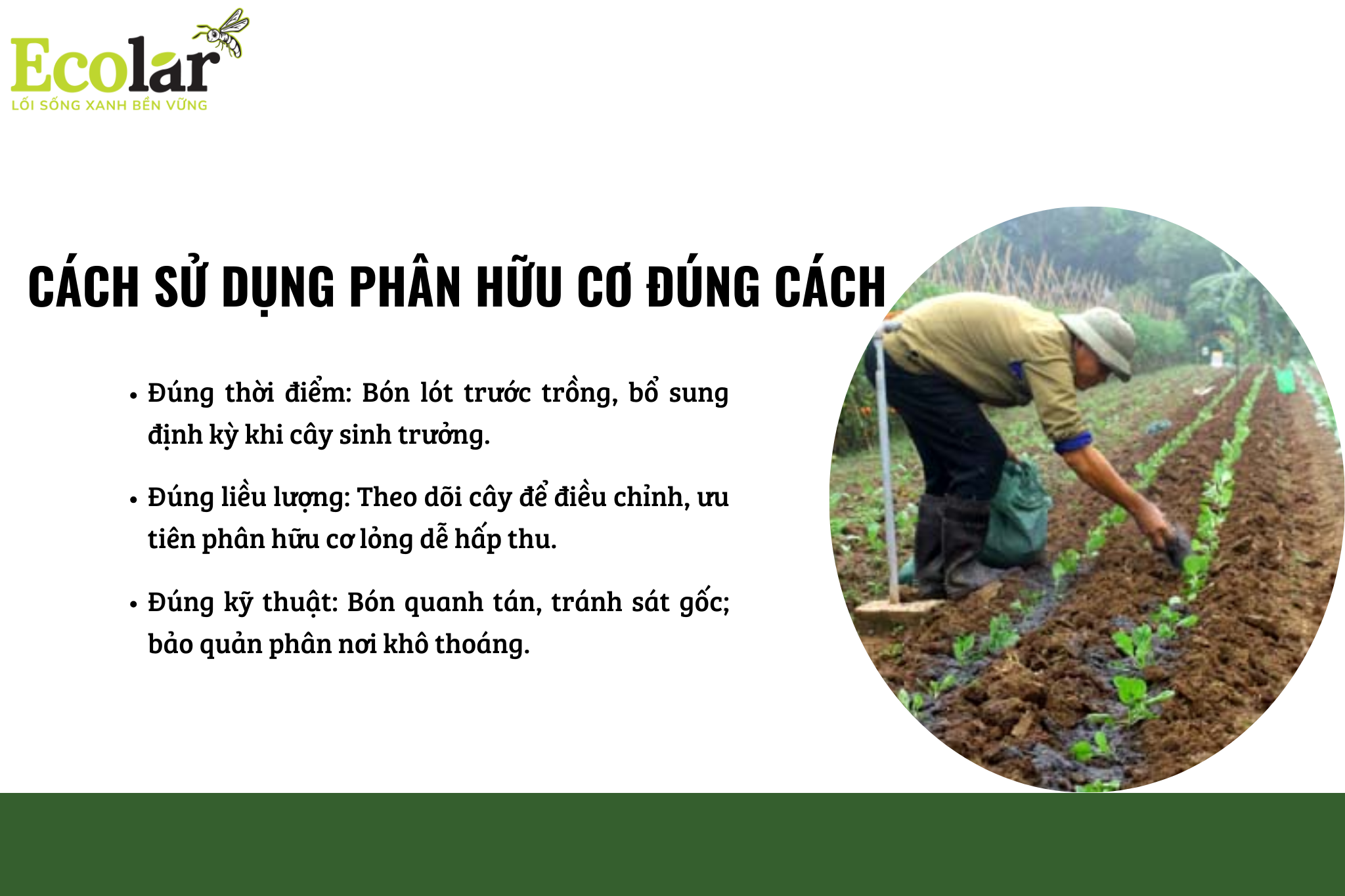 cac su dung pbhc Bao Bì Ánh Sáng - Chuyên Gia Bao Bì PP Dệt