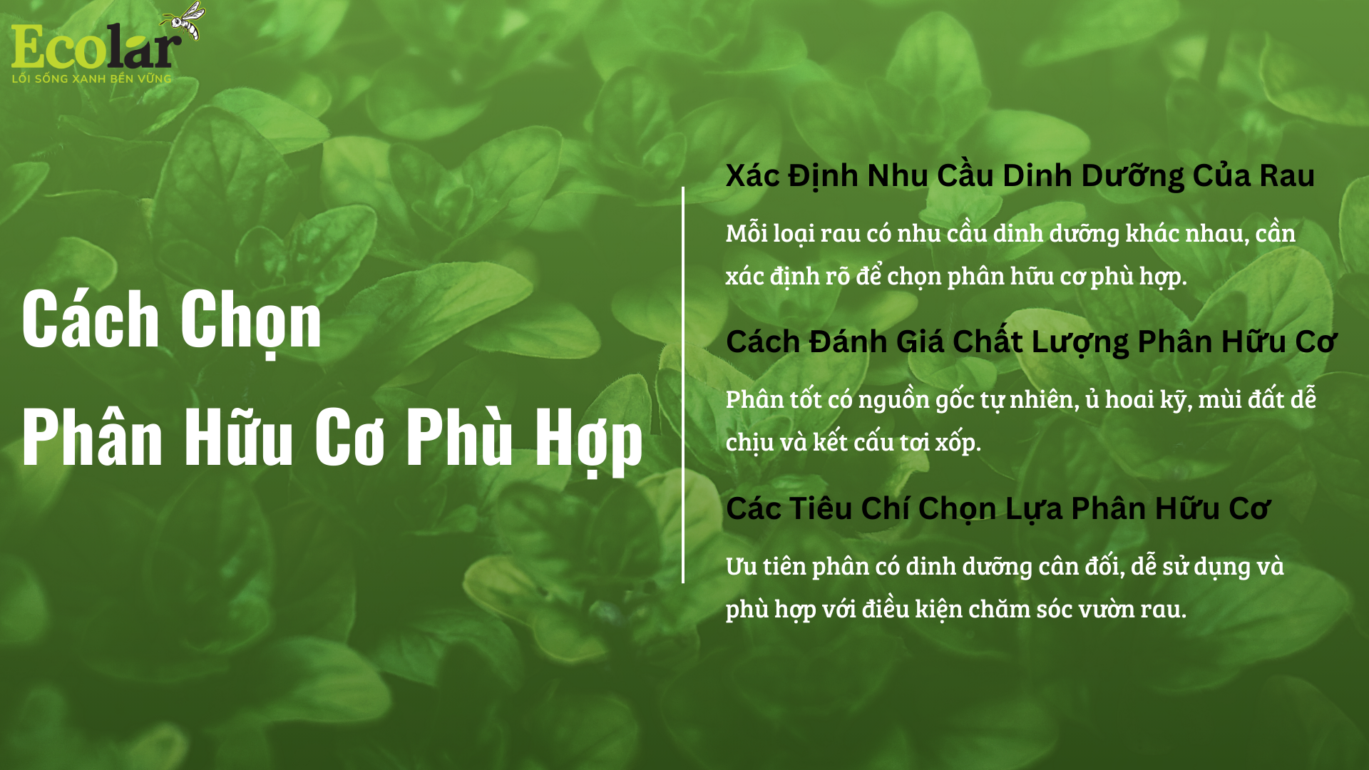 cach chon phan huu co phu hop Bao Bì Ánh Sáng - Chuyên Gia Bao Bì PP Dệt
