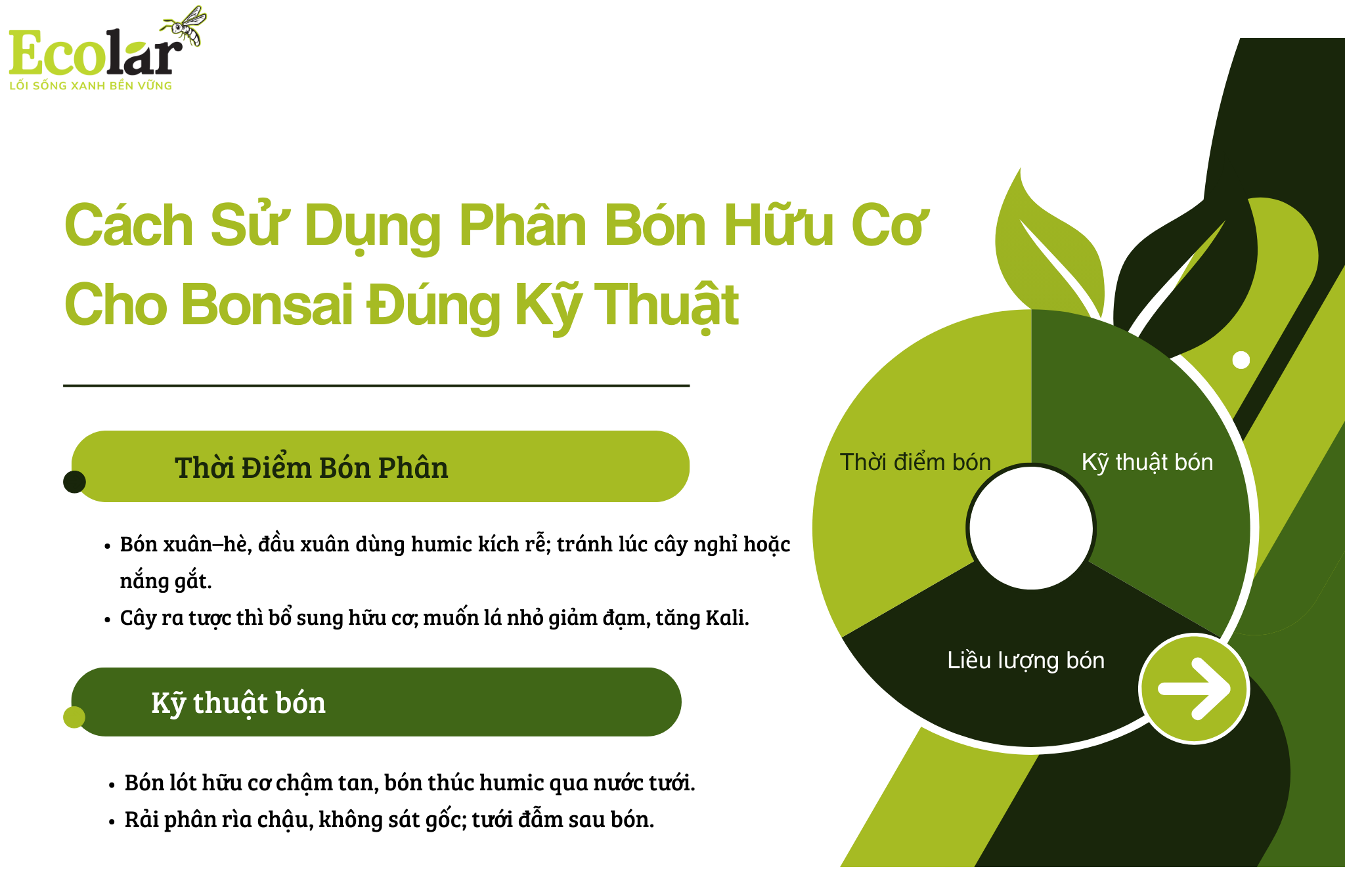 cach su dung pbhc Bao Bì Ánh Sáng - Chuyên Gia Bao Bì PP Dệt