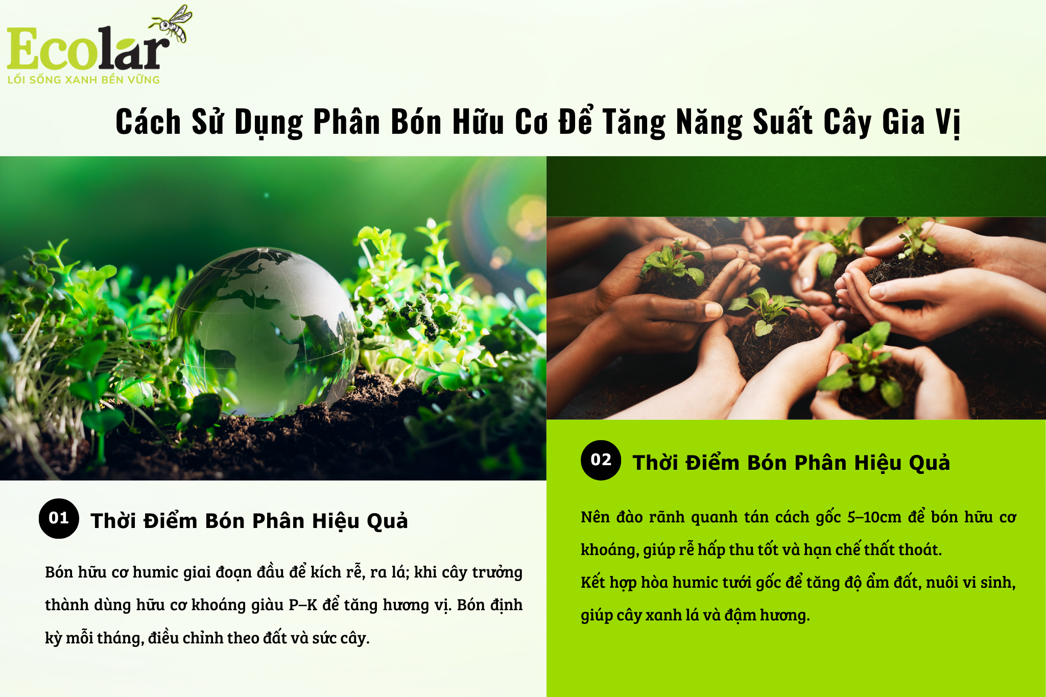 cach su dung phan bon huu co Bao Bì Ánh Sáng - Chuyên Gia Bao Bì PP Dệt