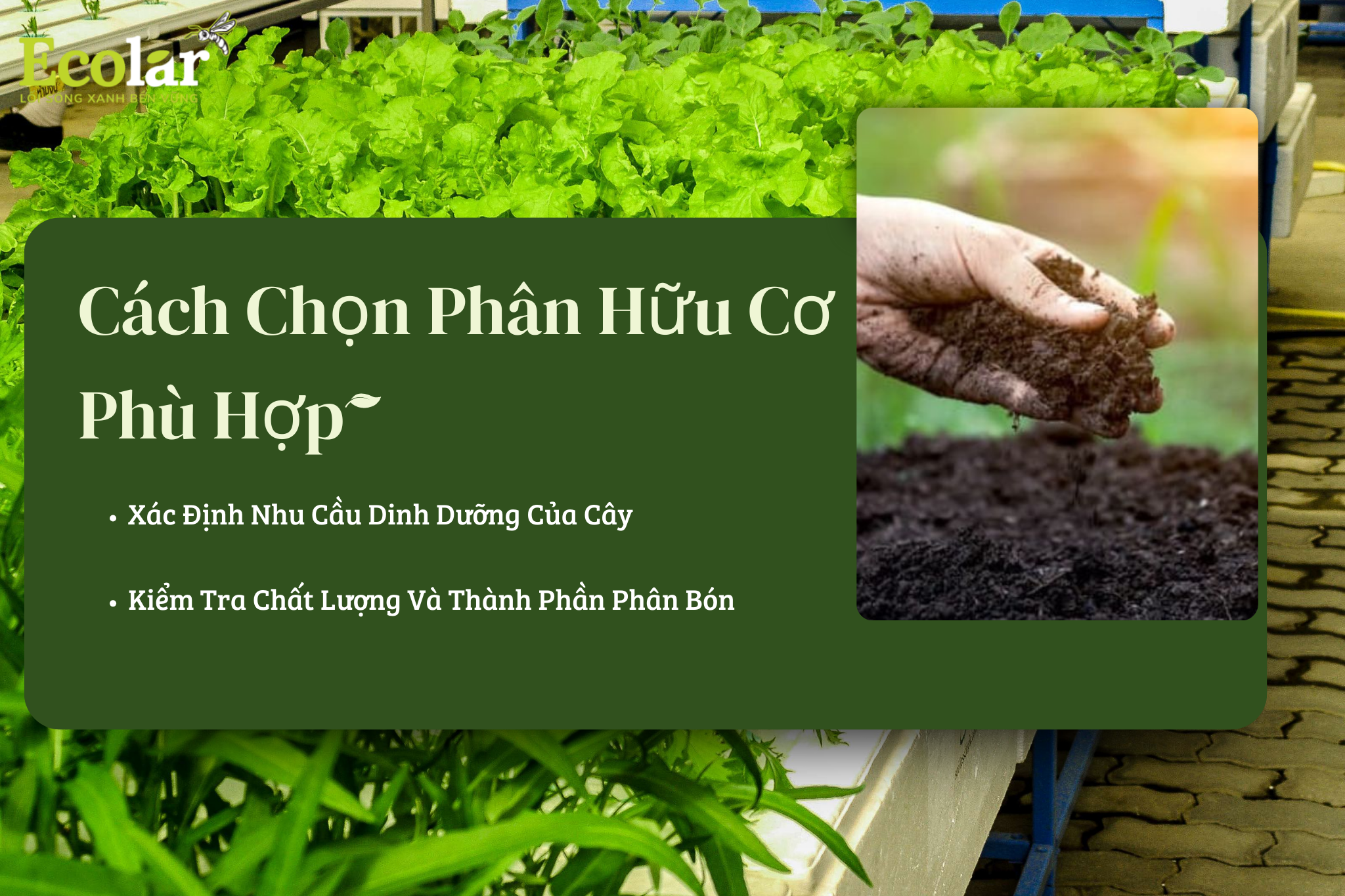chon phan huu co phu hop Bao Bì Ánh Sáng - Chuyên Gia Bao Bì PP Dệt