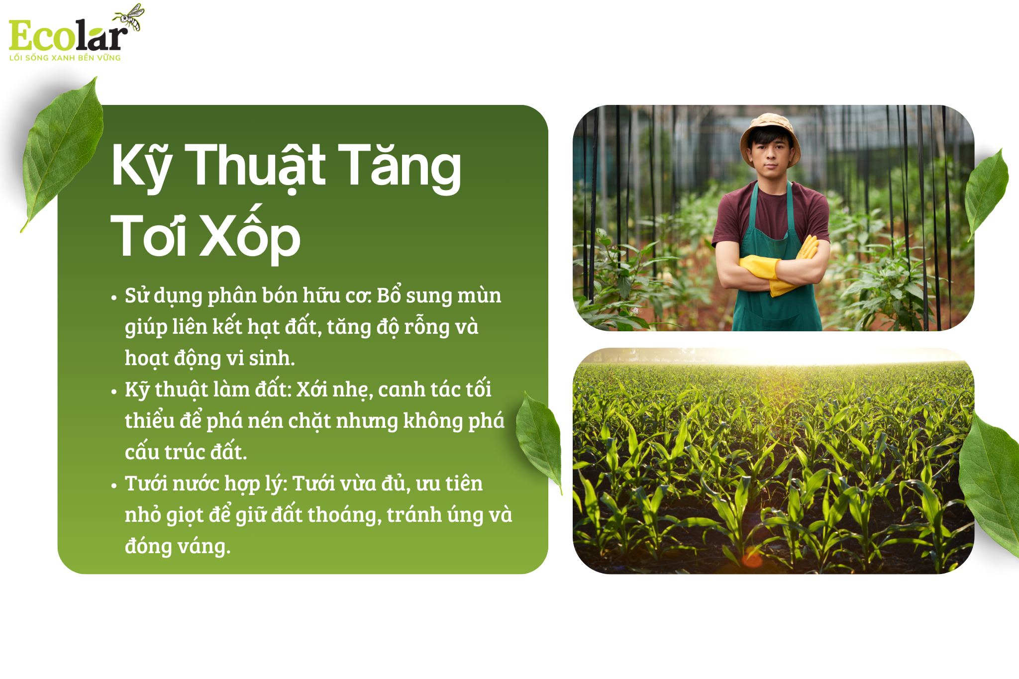 ky thuat tang toi Bao Bì Ánh Sáng - Chuyên Gia Bao Bì PP Dệt