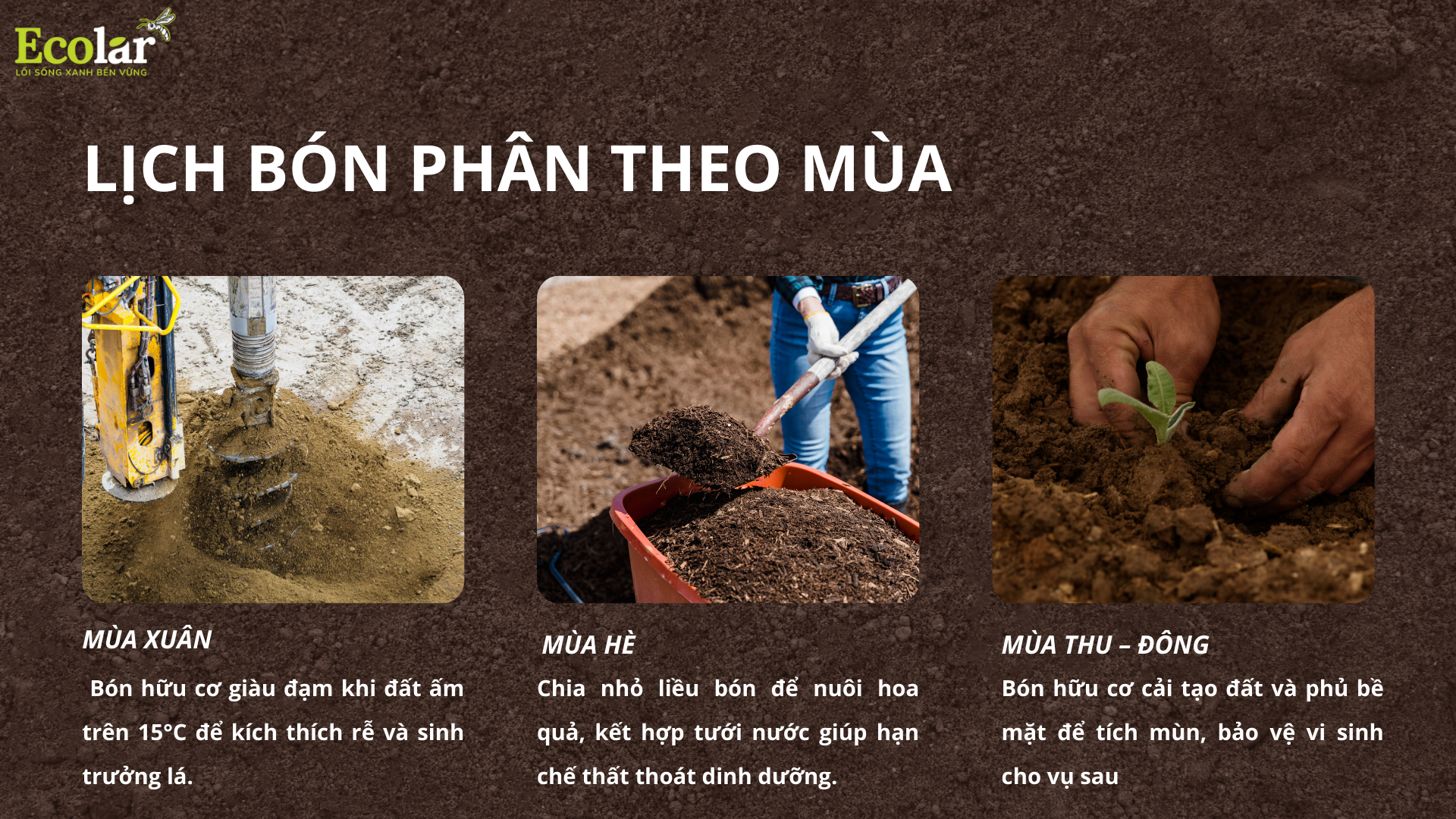 lich bon phan Bao Bì Ánh Sáng - Chuyên Gia Bao Bì PP Dệt