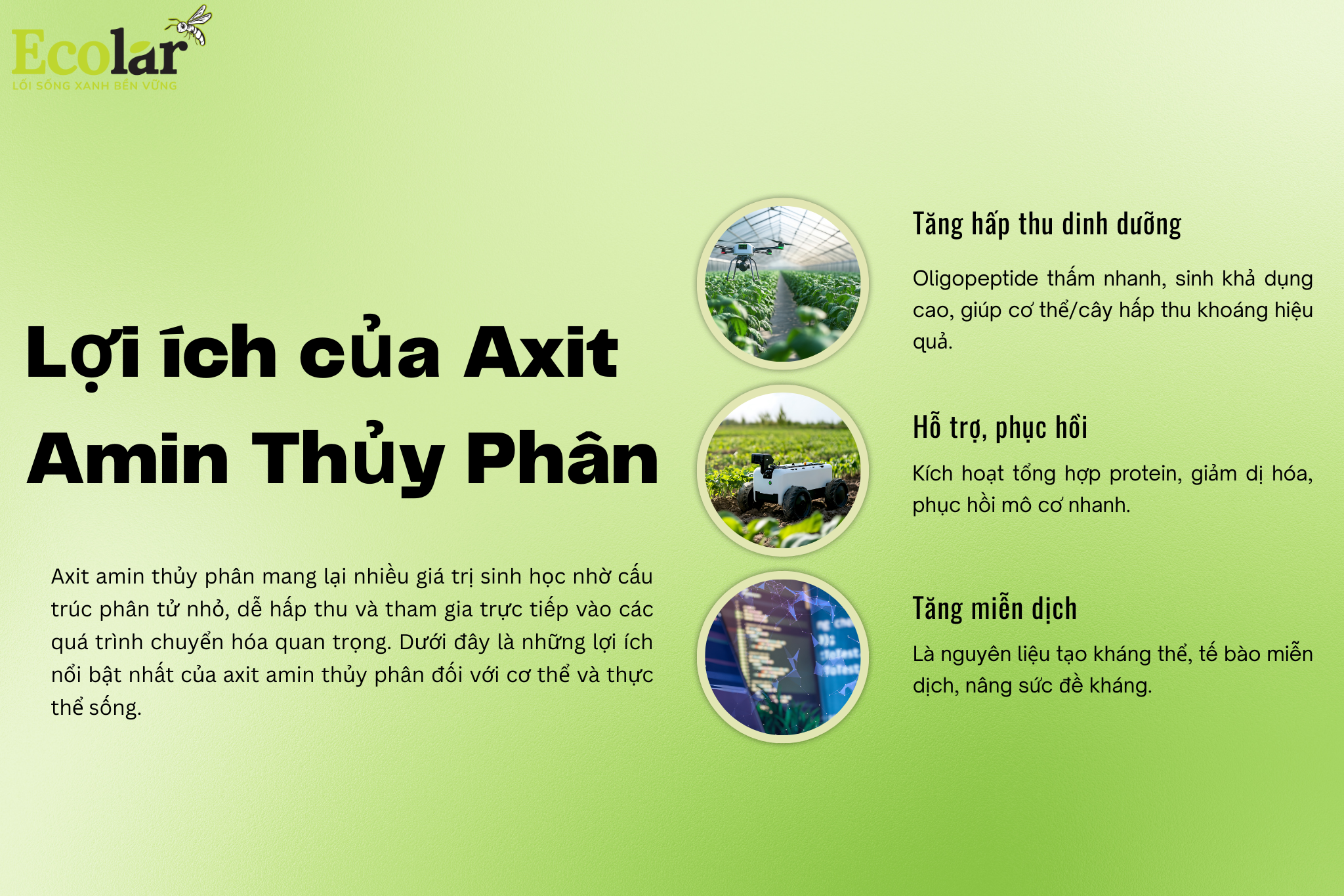 loi ich 1 Bao Bì Ánh Sáng - Chuyên Gia Bao Bì PP Dệt