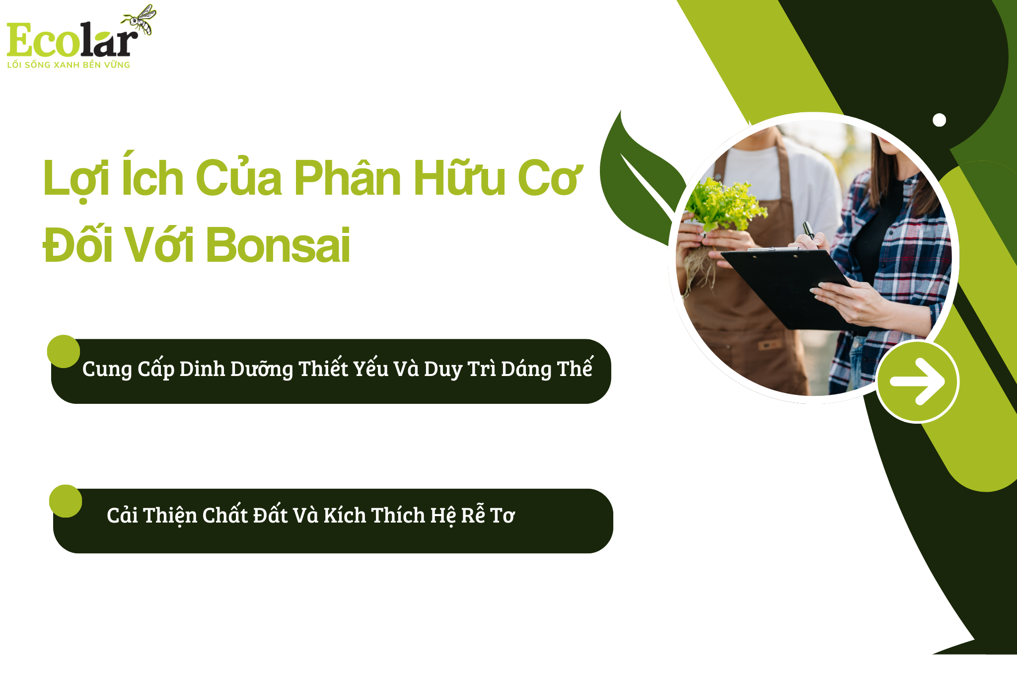 loi ich cua phan huu co doi voi bonsai Bao Bì Ánh Sáng - Chuyên Gia Bao Bì PP Dệt
