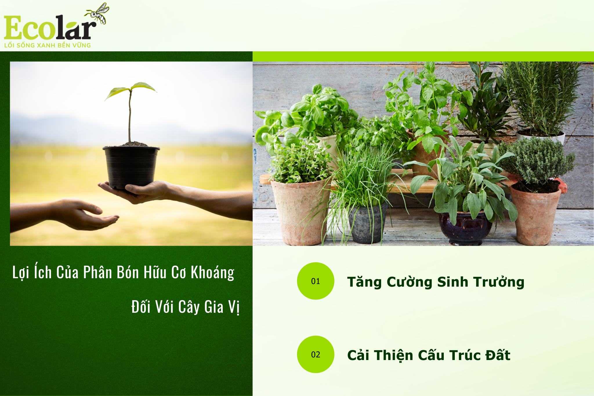 loi ich pbhc 1 Bao Bì Ánh Sáng - Chuyên Gia Bao Bì PP Dệt