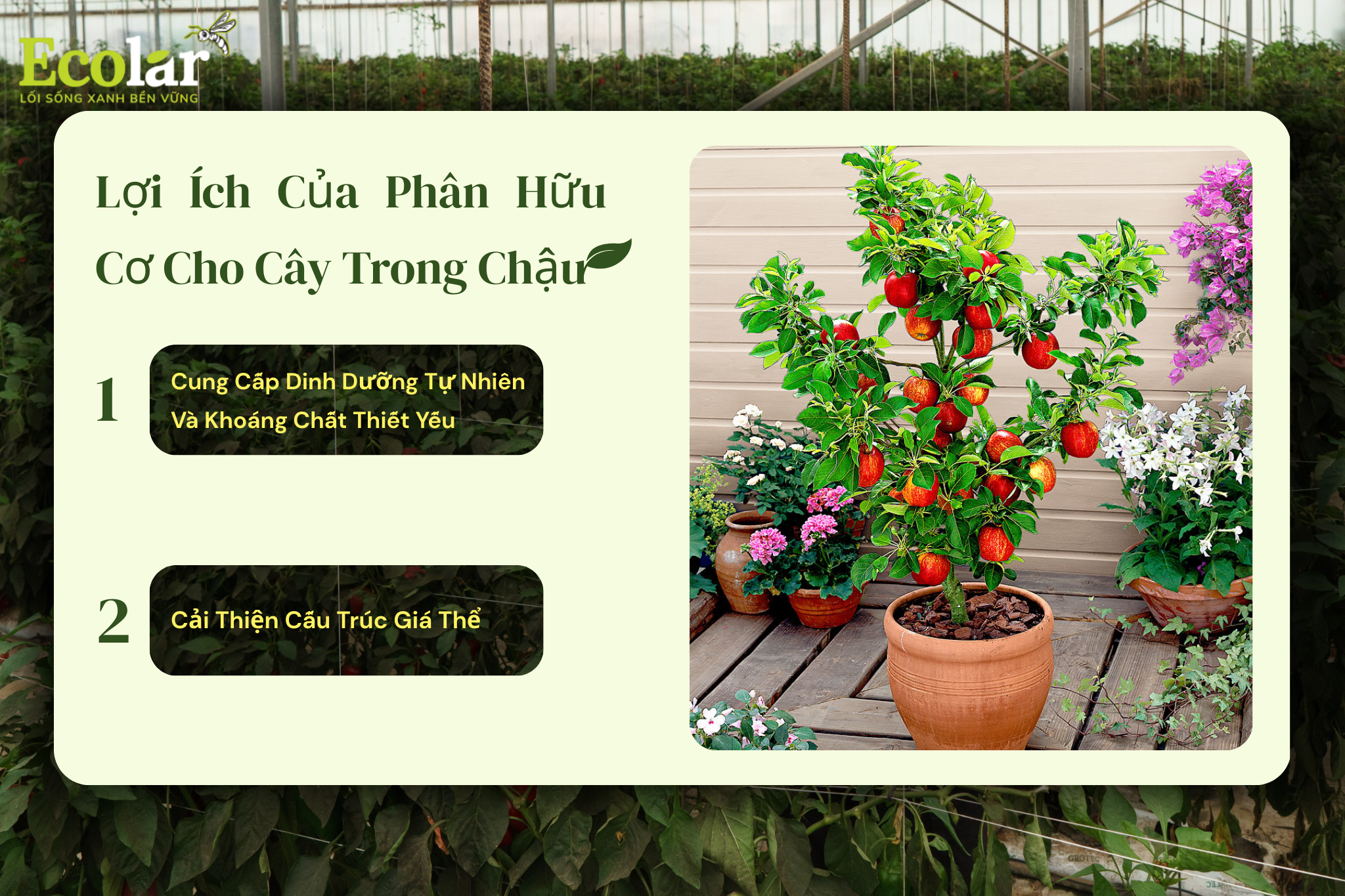 loi ich pbhc 2 Bao Bì Ánh Sáng - Chuyên Gia Bao Bì PP Dệt