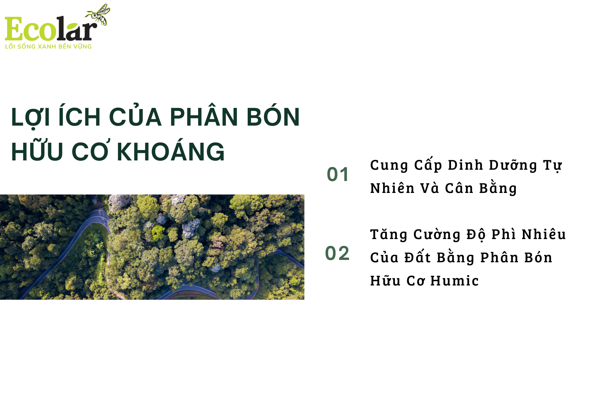 loi ich pbhc Bao Bì Ánh Sáng - Chuyên Gia Bao Bì PP Dệt