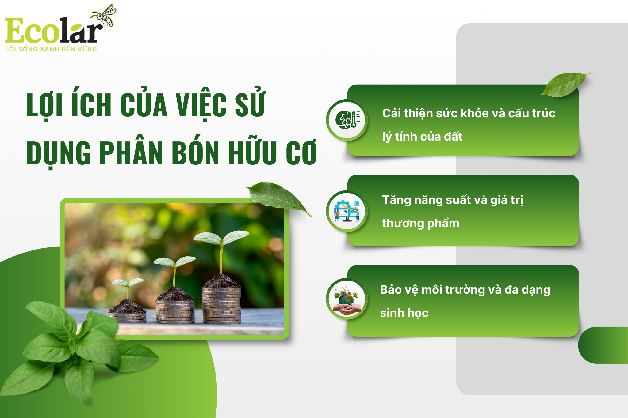 loi ich su phan bon huu co Bao Bì Ánh Sáng - Chuyên Gia Bao Bì PP Dệt