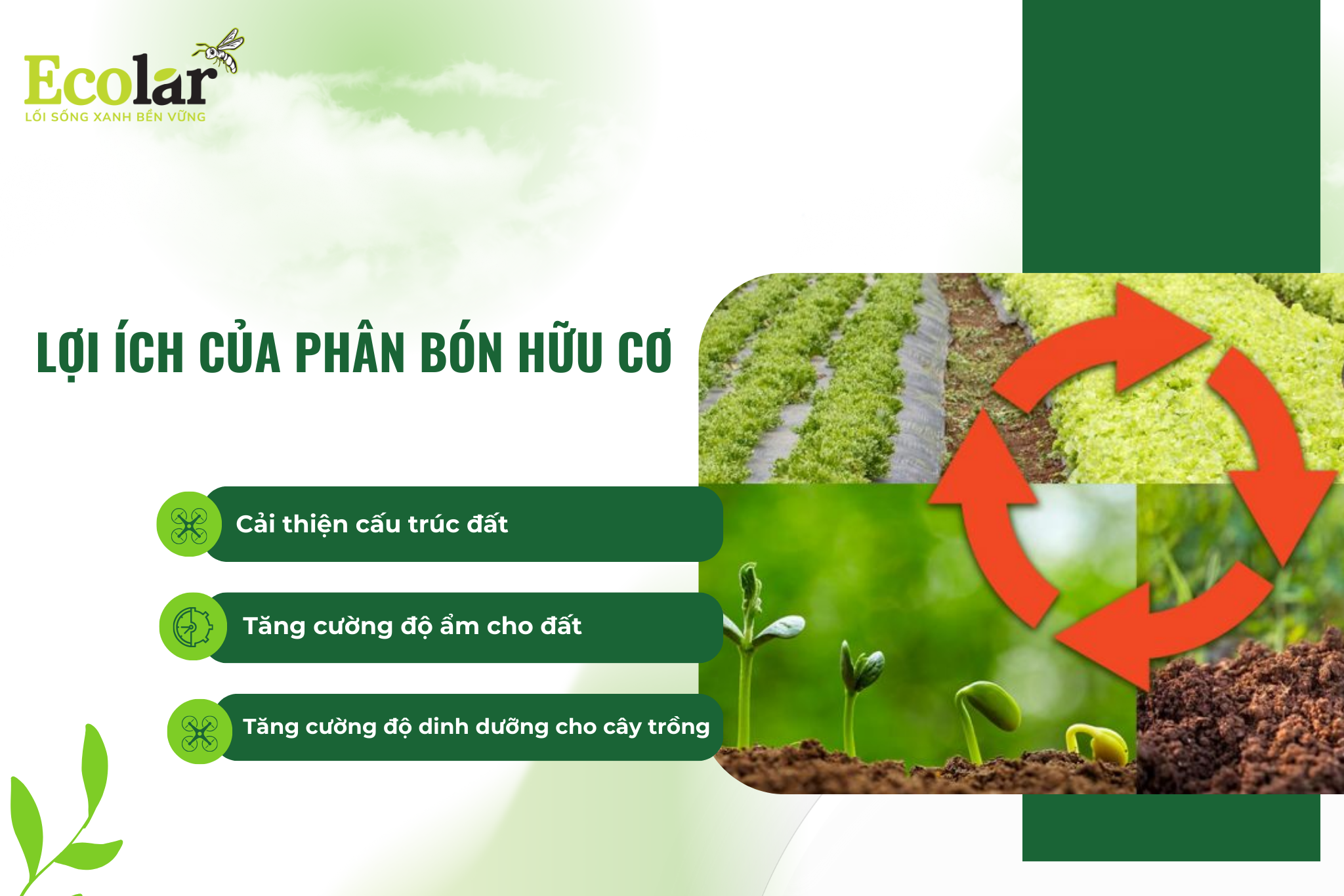 loi ich Bao Bì Ánh Sáng - Chuyên Gia Bao Bì PP Dệt