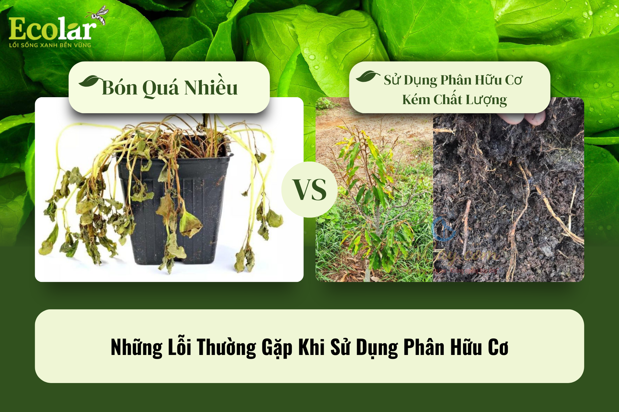 loi thuong gap Bao Bì Ánh Sáng - Chuyên Gia Bao Bì PP Dệt