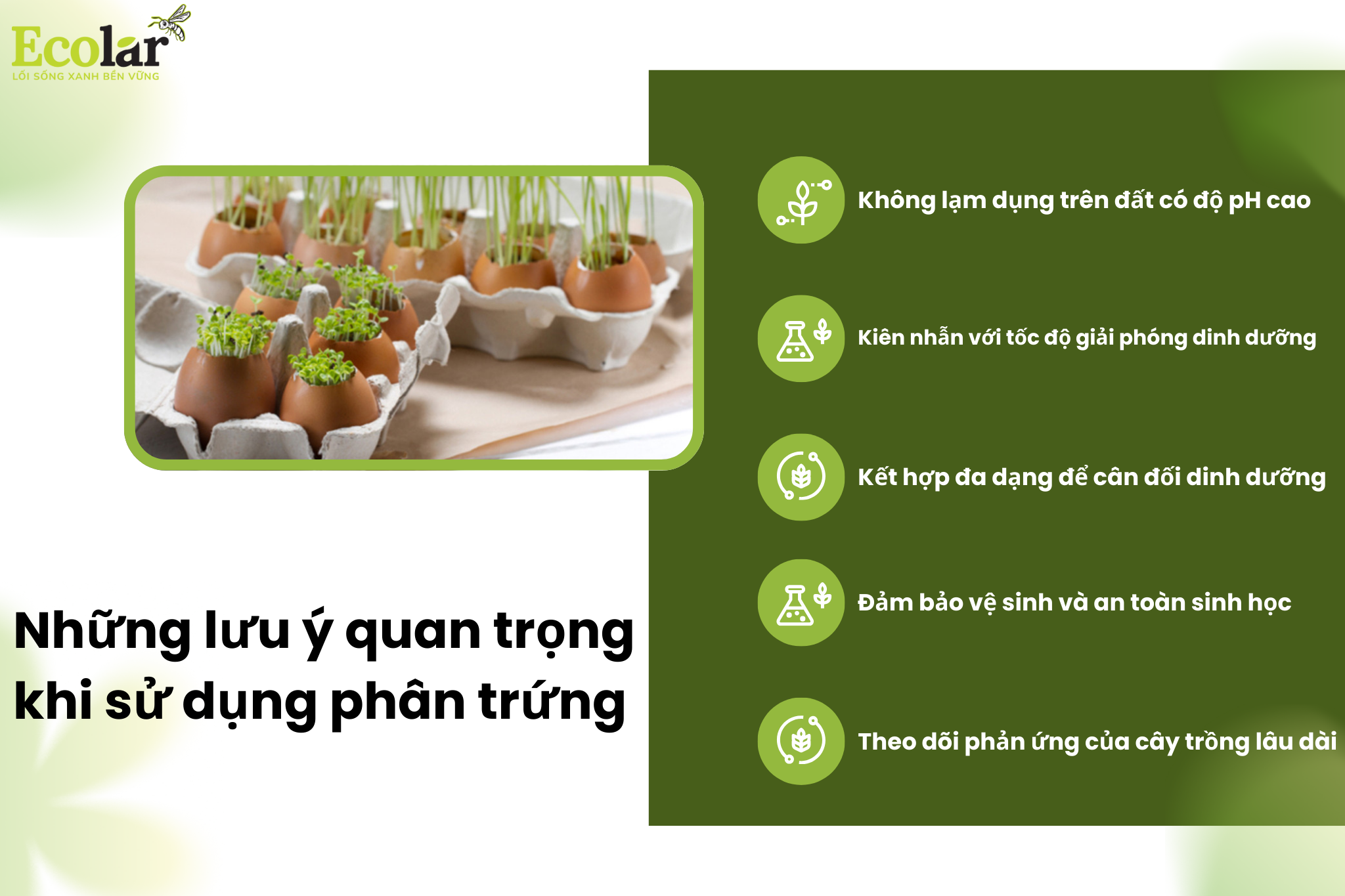 luu y Bao Bì Ánh Sáng - Chuyên Gia Bao Bì PP Dệt