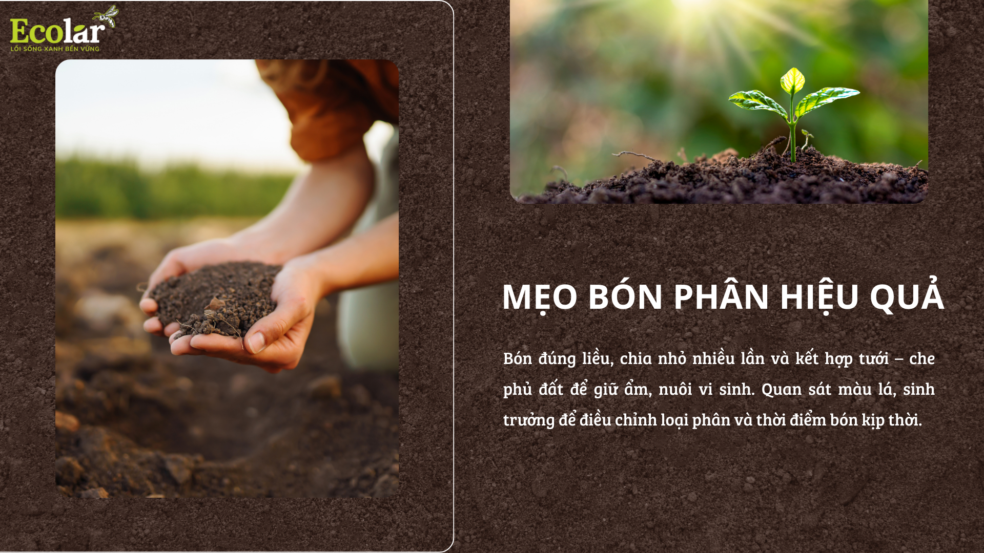 meo bon phan Bao Bì Ánh Sáng - Chuyên Gia Bao Bì PP Dệt