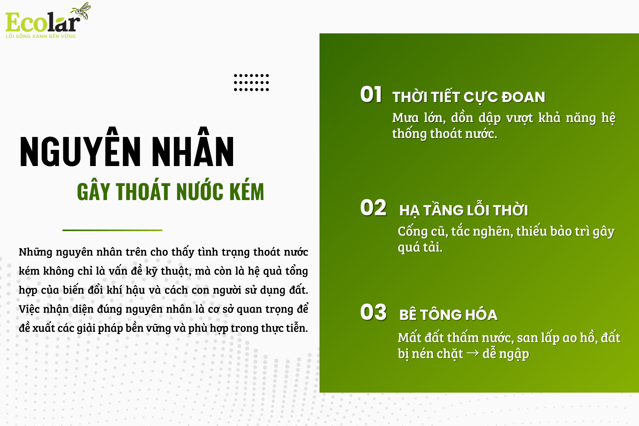 nguyen nhan Bao Bì Ánh Sáng - Chuyên Gia Bao Bì PP Dệt