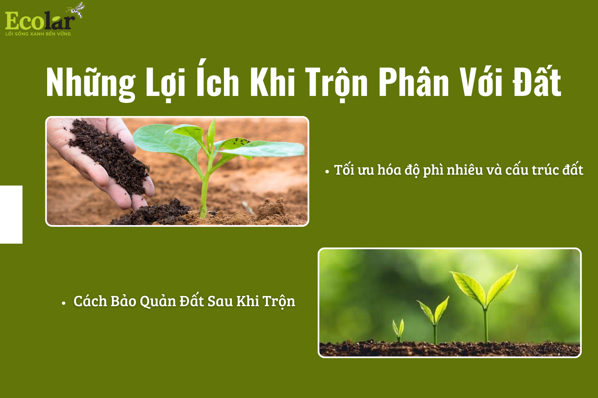 nhung loi ich khi tron phan voi dat Bao Bì Ánh Sáng - Chuyên Gia Bao Bì PP Dệt