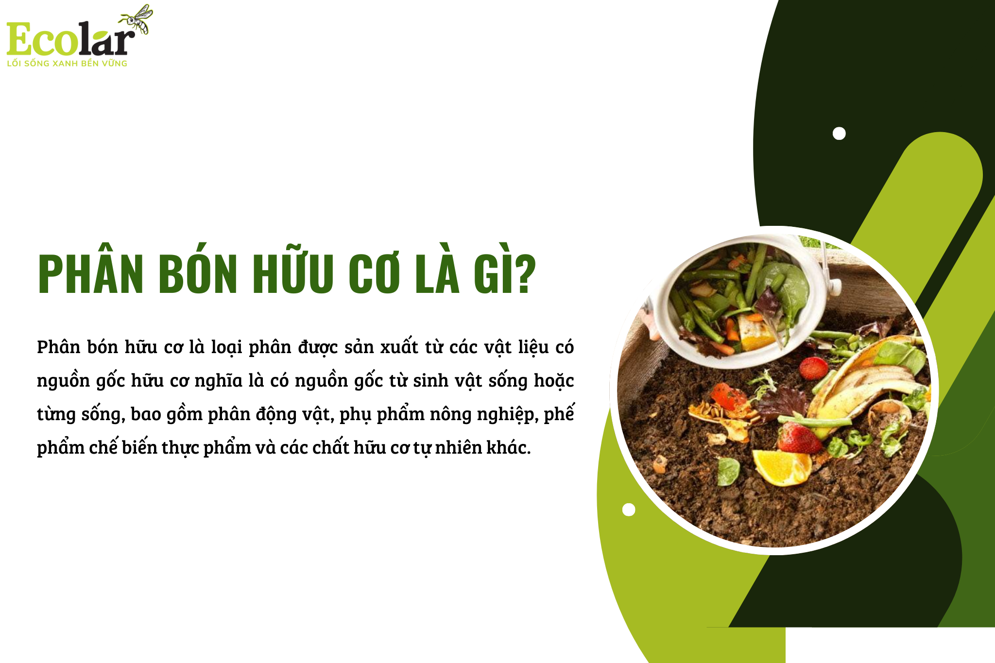 phan bon huu co la gi 1 Bao Bì Ánh Sáng - Chuyên Gia Bao Bì PP Dệt