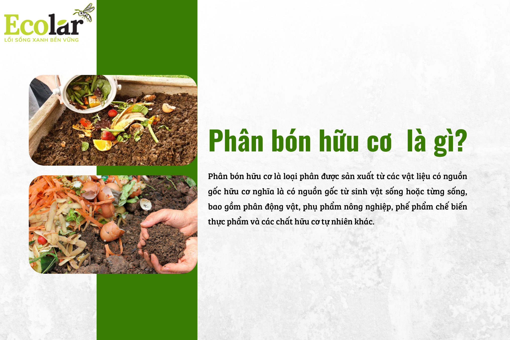phan bon huu co la gi Bao Bì Ánh Sáng - Chuyên Gia Bao Bì PP Dệt
