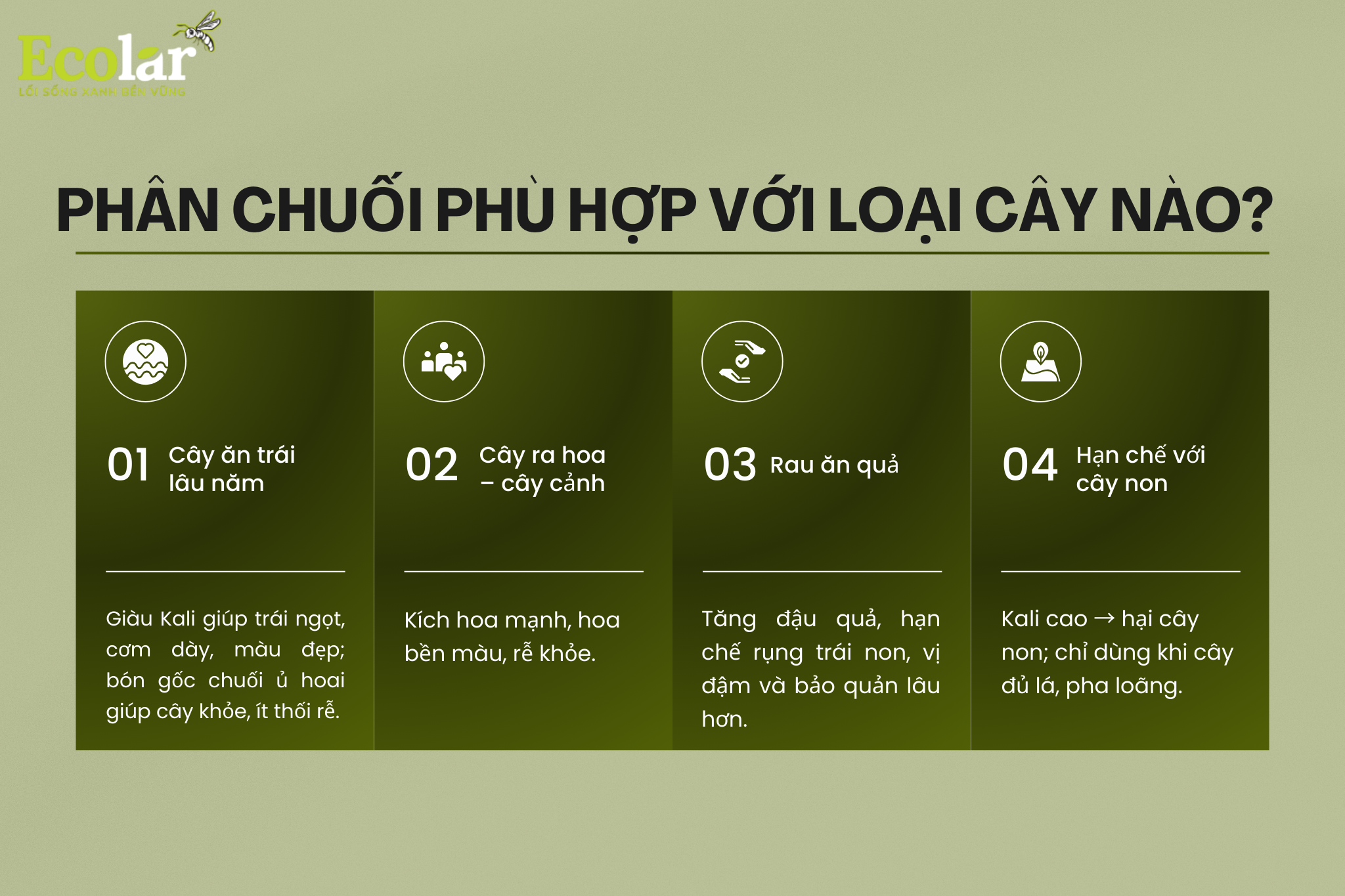 phan chuoi phu hop Bao Bì Ánh Sáng - Chuyên Gia Bao Bì PP Dệt