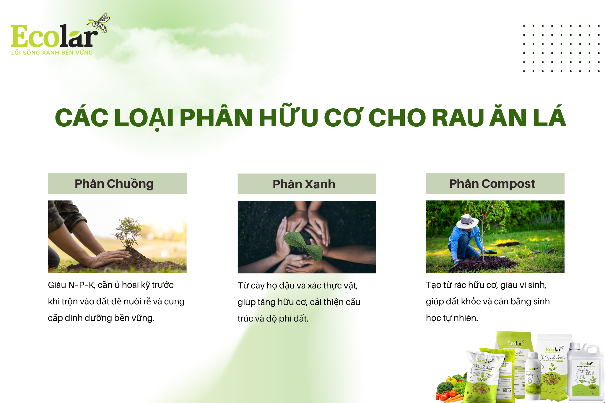 phan loai Bao Bì Ánh Sáng - Chuyên Gia Bao Bì PP Dệt