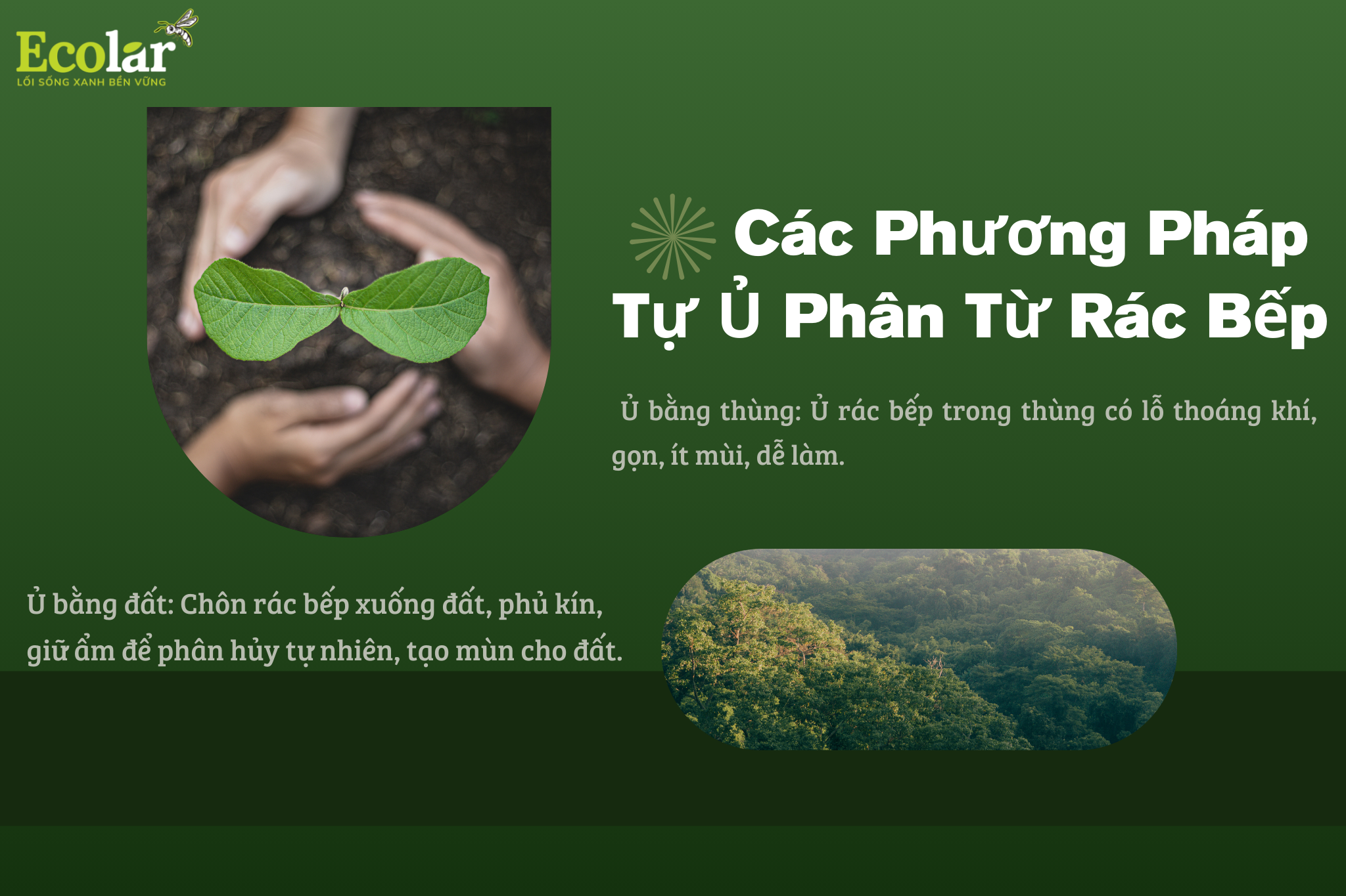 phuong phap Bao Bì Ánh Sáng - Chuyên Gia Bao Bì PP Dệt