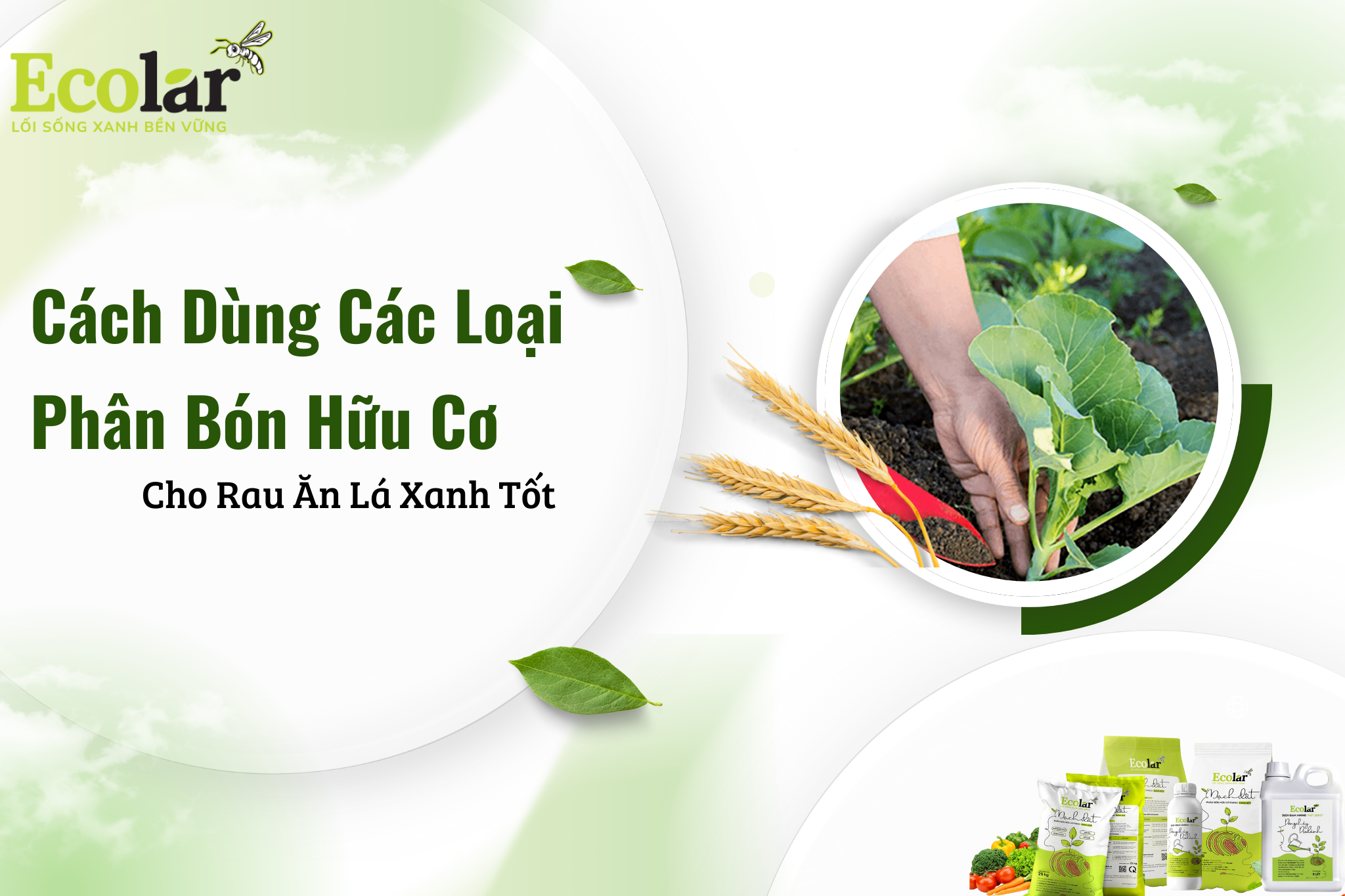 rau an la 1 1 Bao Bì Ánh Sáng - Chuyên Gia Bao Bì PP Dệt