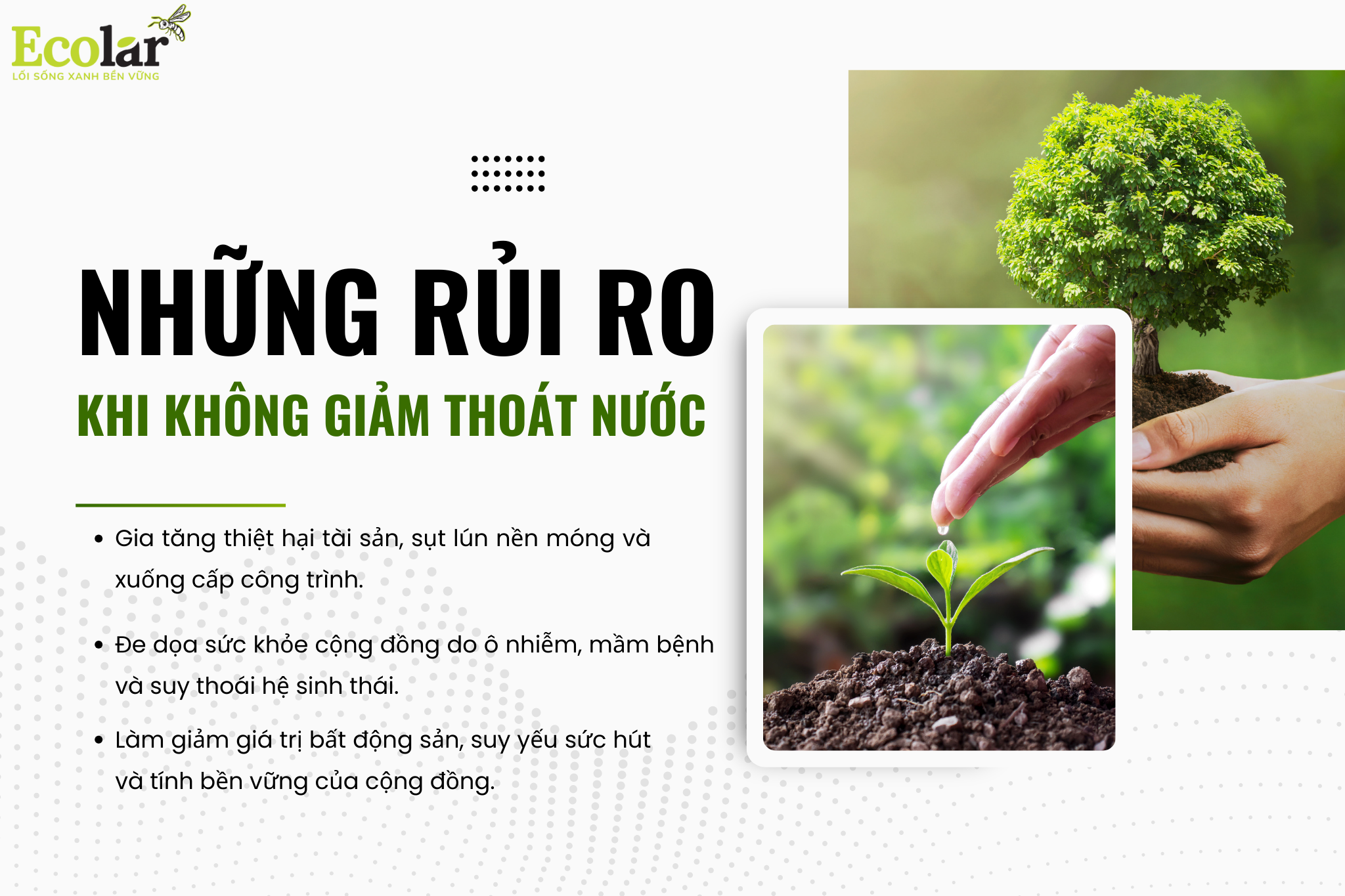 rui ro Bao Bì Ánh Sáng - Chuyên Gia Bao Bì PP Dệt