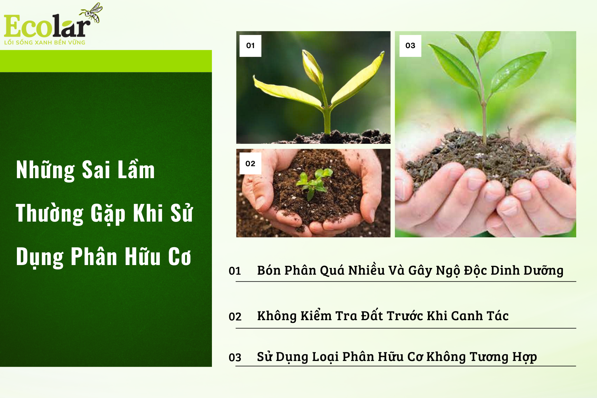 sai lam thuong gap Bao Bì Ánh Sáng - Chuyên Gia Bao Bì PP Dệt