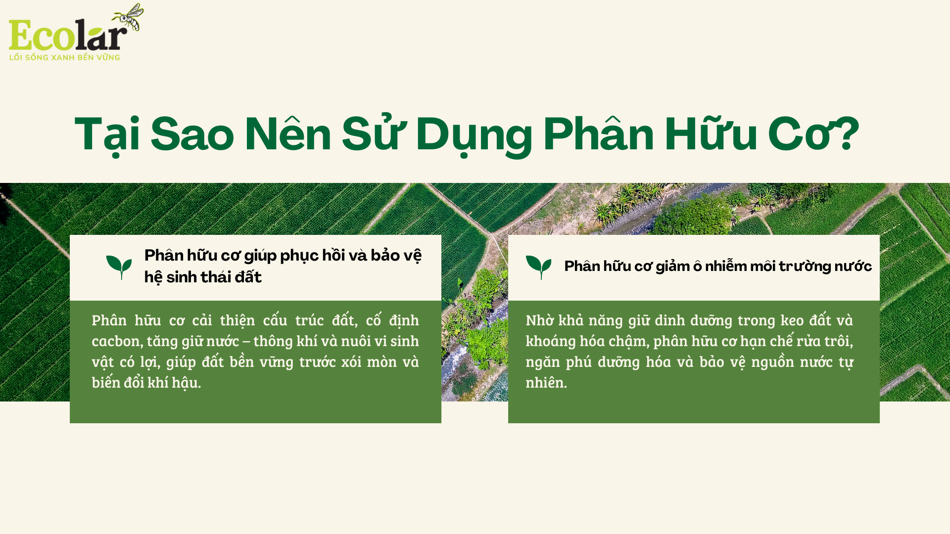 tai sao nen dung phan bon huu co Bao Bì Ánh Sáng - Chuyên Gia Bao Bì PP Dệt