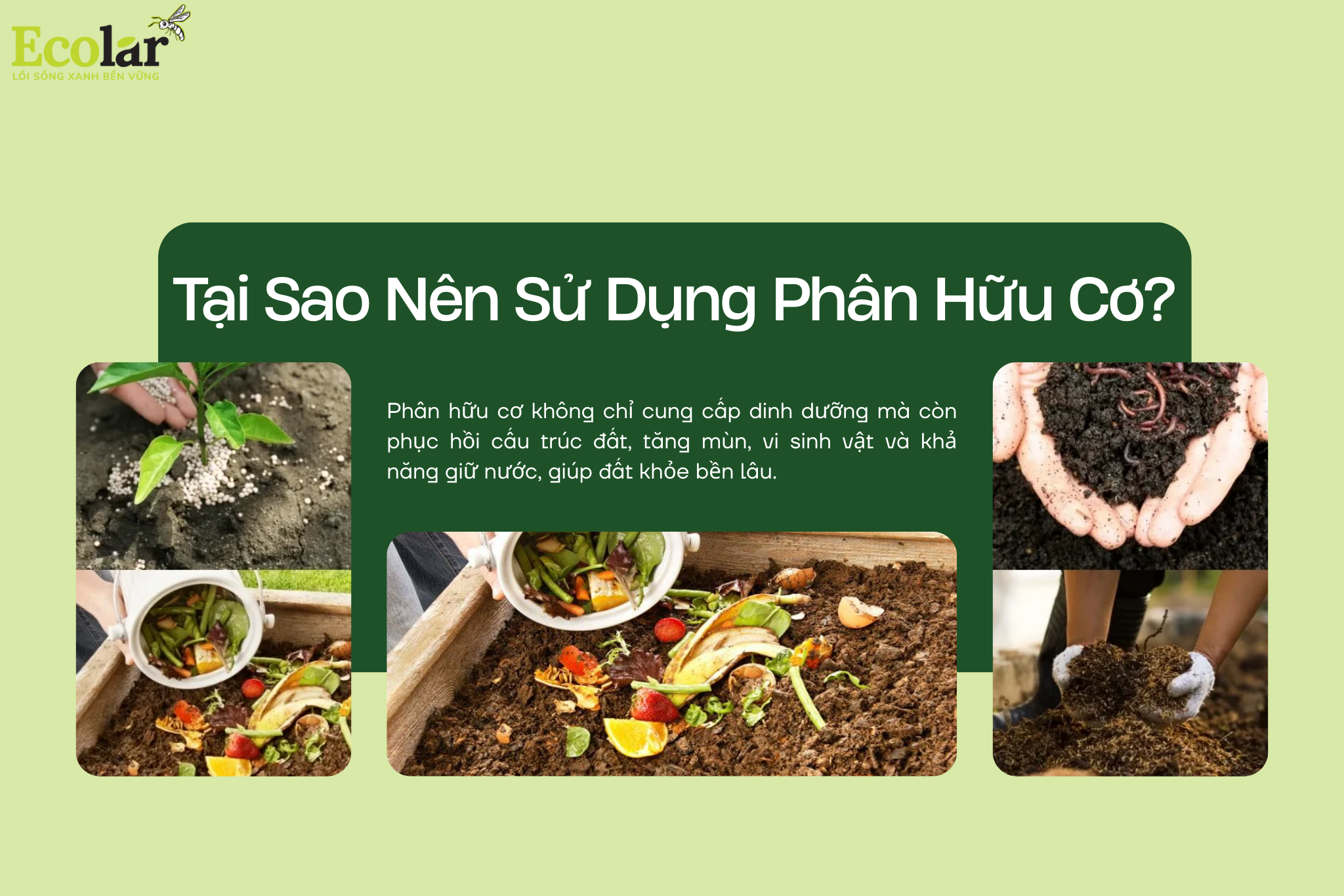 tai sao Bao Bì Ánh Sáng - Chuyên Gia Bao Bì PP Dệt