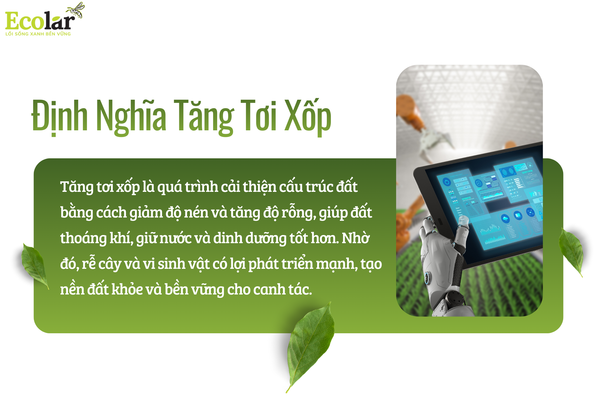 tang toi Bao Bì Ánh Sáng - Chuyên Gia Bao Bì PP Dệt