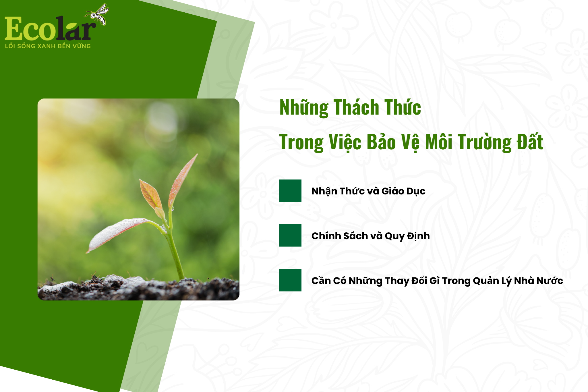 thach thuc Bao Bì Ánh Sáng - Chuyên Gia Bao Bì PP Dệt