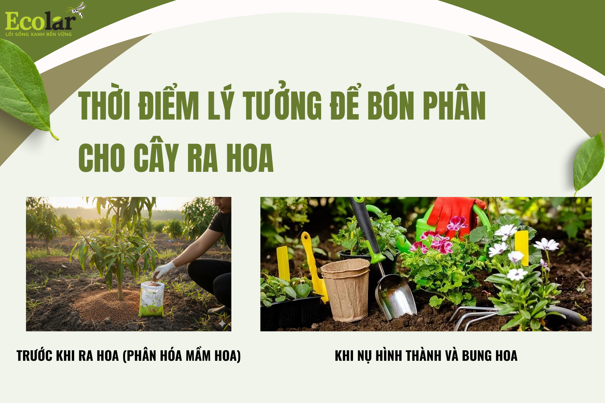 thoi diem bon phan Bao Bì Ánh Sáng - Chuyên Gia Bao Bì PP Dệt