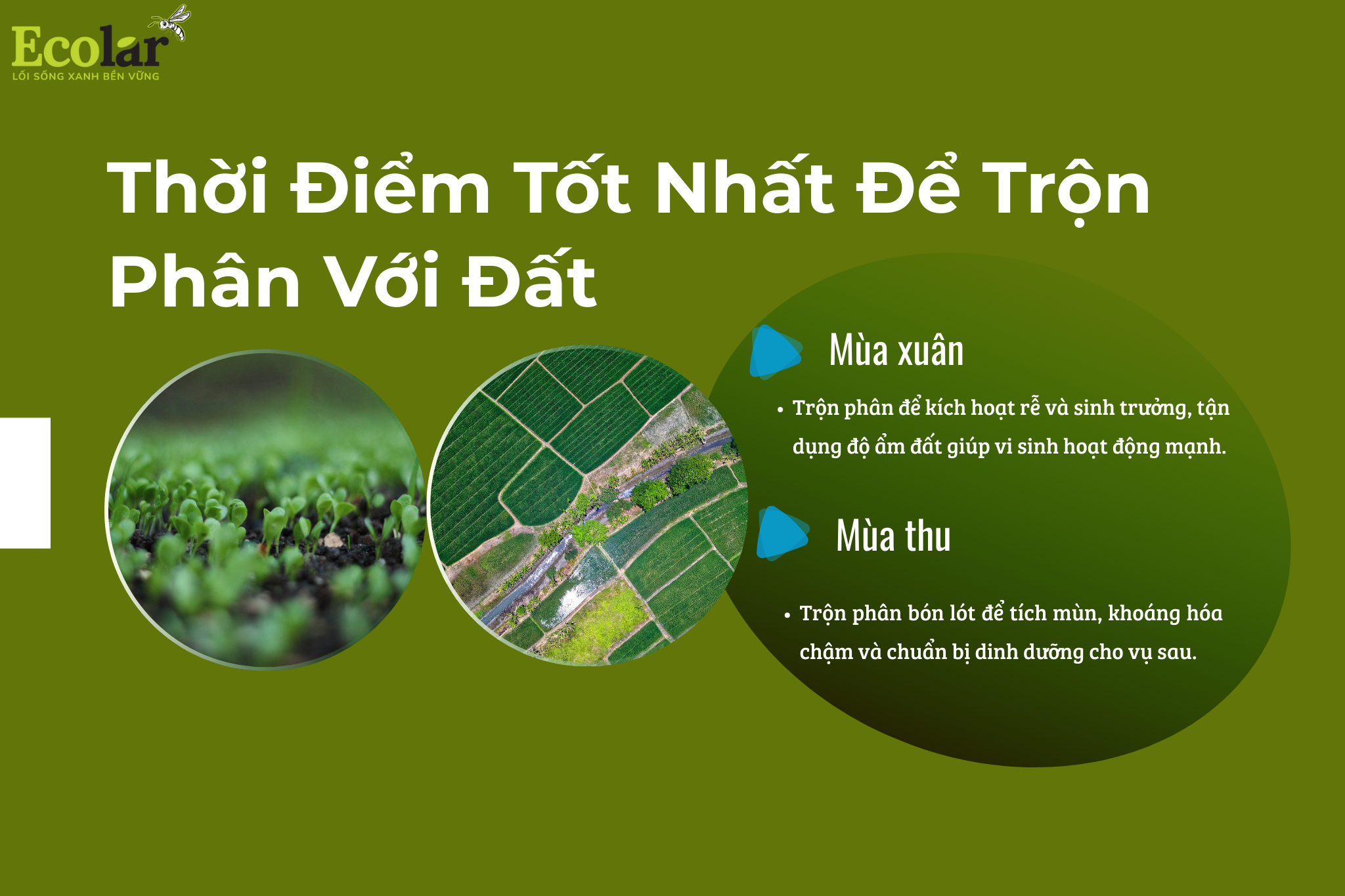 thoi diem tot nhat Bao Bì Ánh Sáng - Chuyên Gia Bao Bì PP Dệt