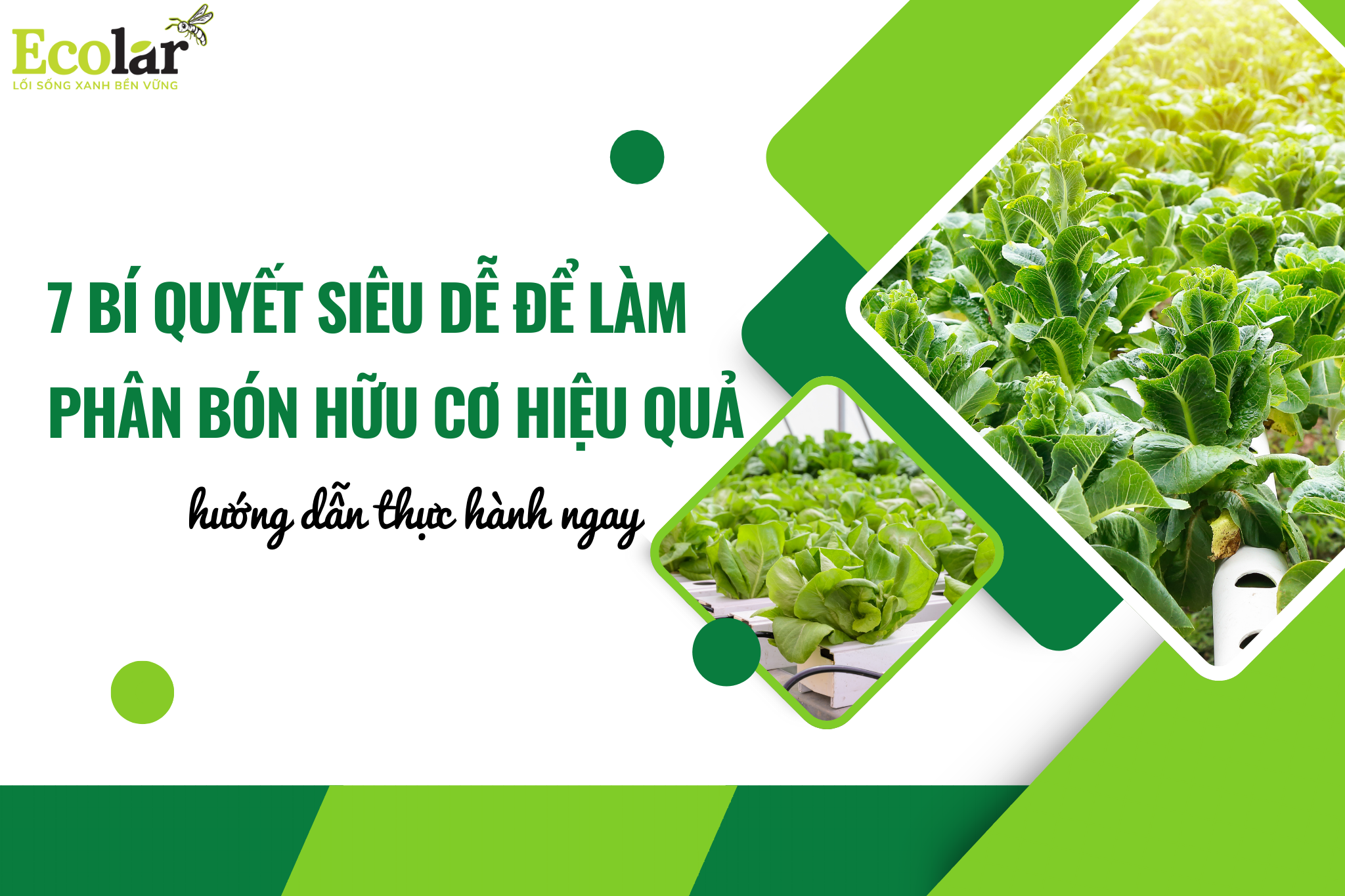 thum 1 Bao Bì Ánh Sáng - Chuyên Gia Bao Bì PP Dệt