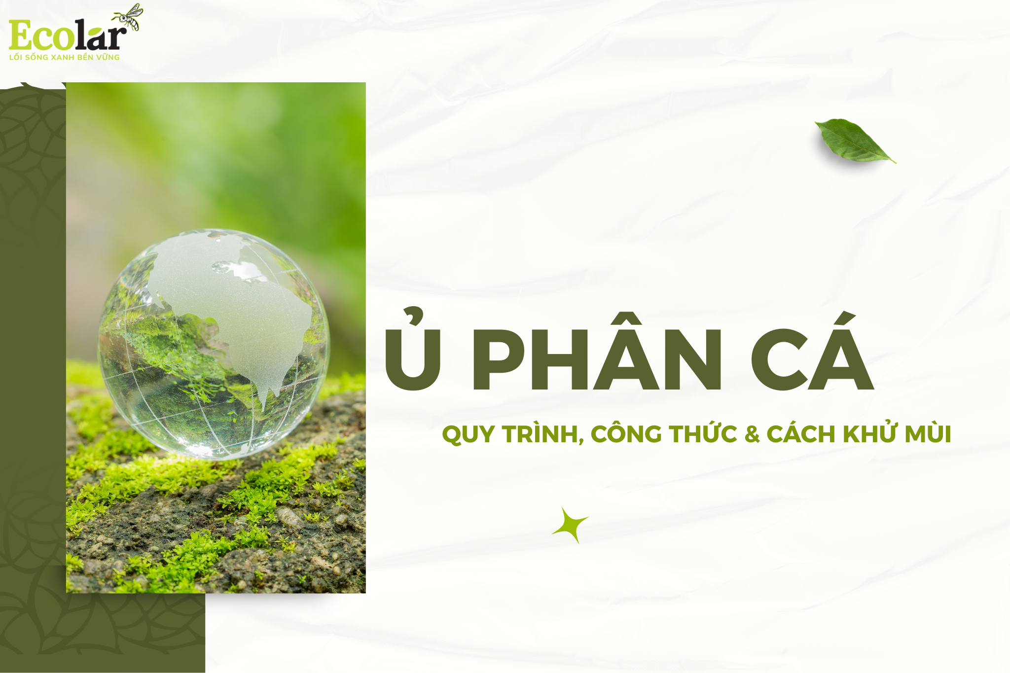 Ủ phân cá tại nhà: Quy trình, công thức và cách khử mùi 4 thum 2 1 Bao Bì Ánh Sáng - Chuyên Gia Bao Bì PP Dệt