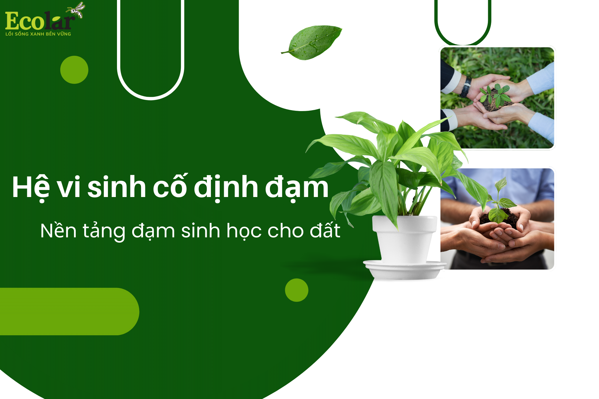 thum 2 Bao Bì Ánh Sáng - Chuyên Gia Bao Bì PP Dệt