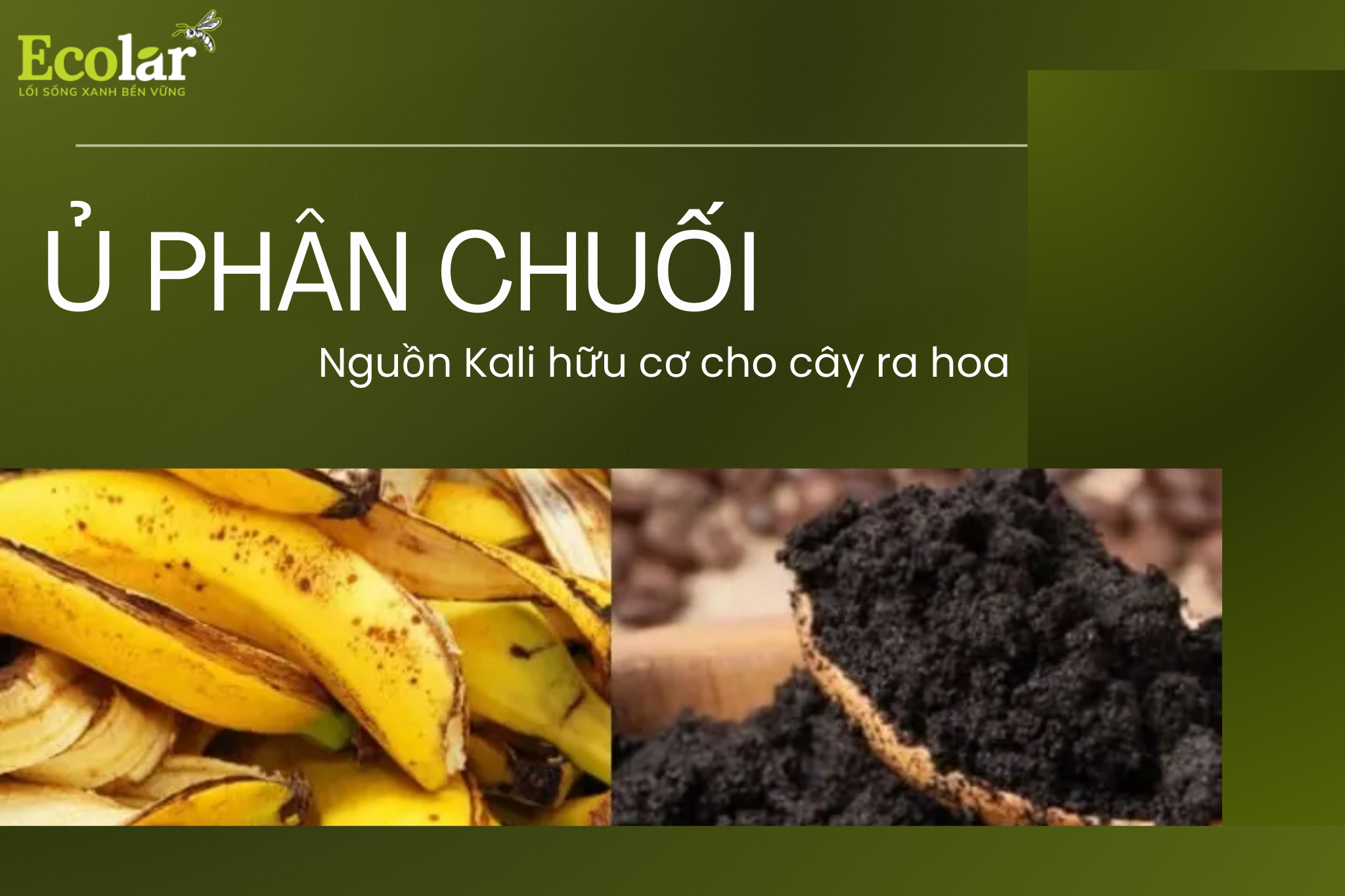 thum1 3 Bao Bì Ánh Sáng - Chuyên Gia Bao Bì PP Dệt