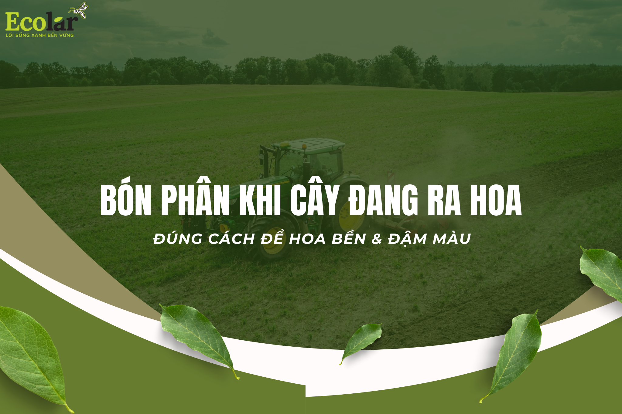thum1 Bao Bì Ánh Sáng - Chuyên Gia Bao Bì PP Dệt