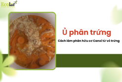 thum1_affb9bd8ae714877bc1acfd3e6a4f23d