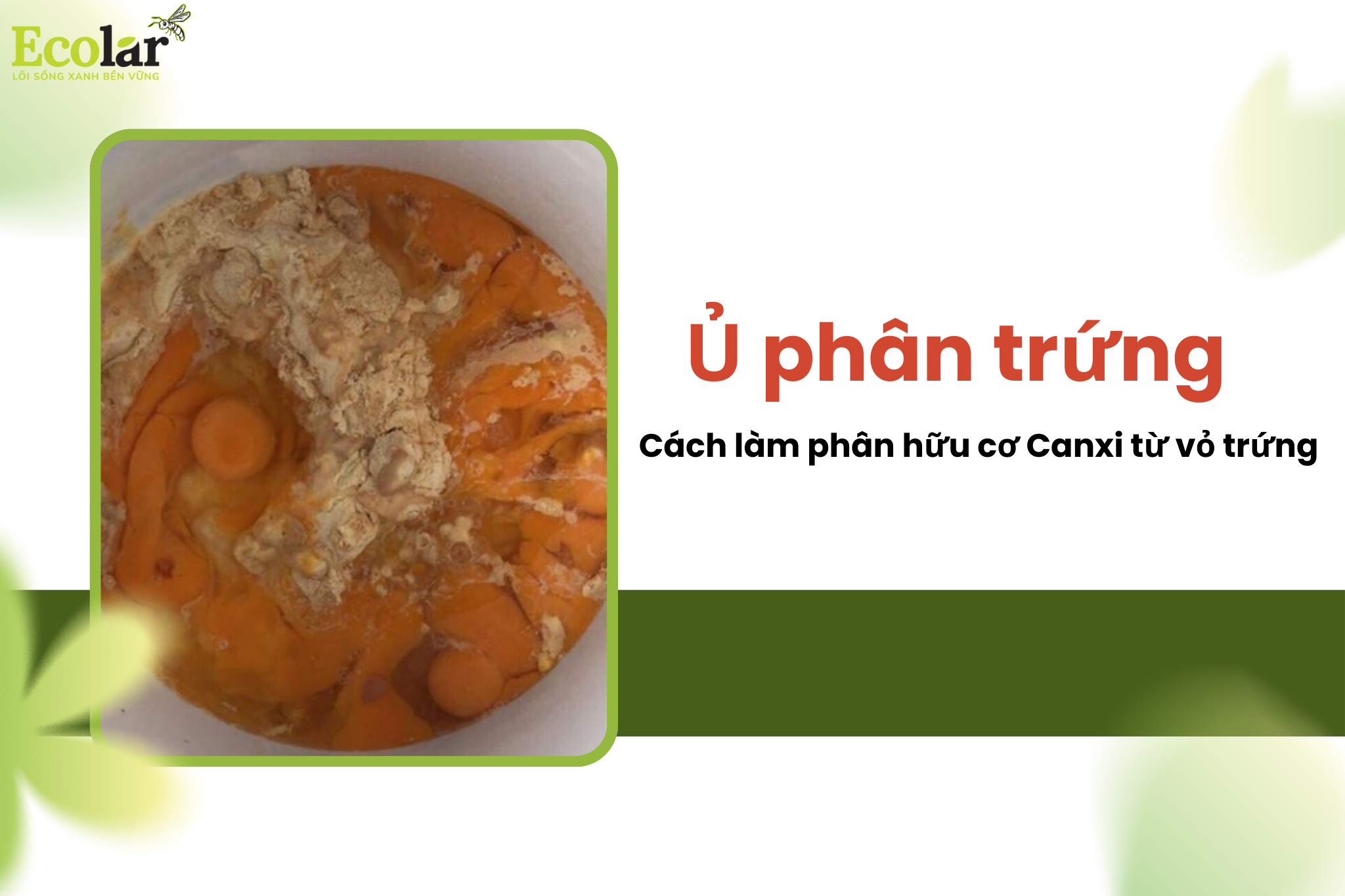 thum1 affb9bd8ae714877bc1acfd3e6a4f23d Bao Bì Ánh Sáng - Chuyên Gia Bao Bì PP Dệt