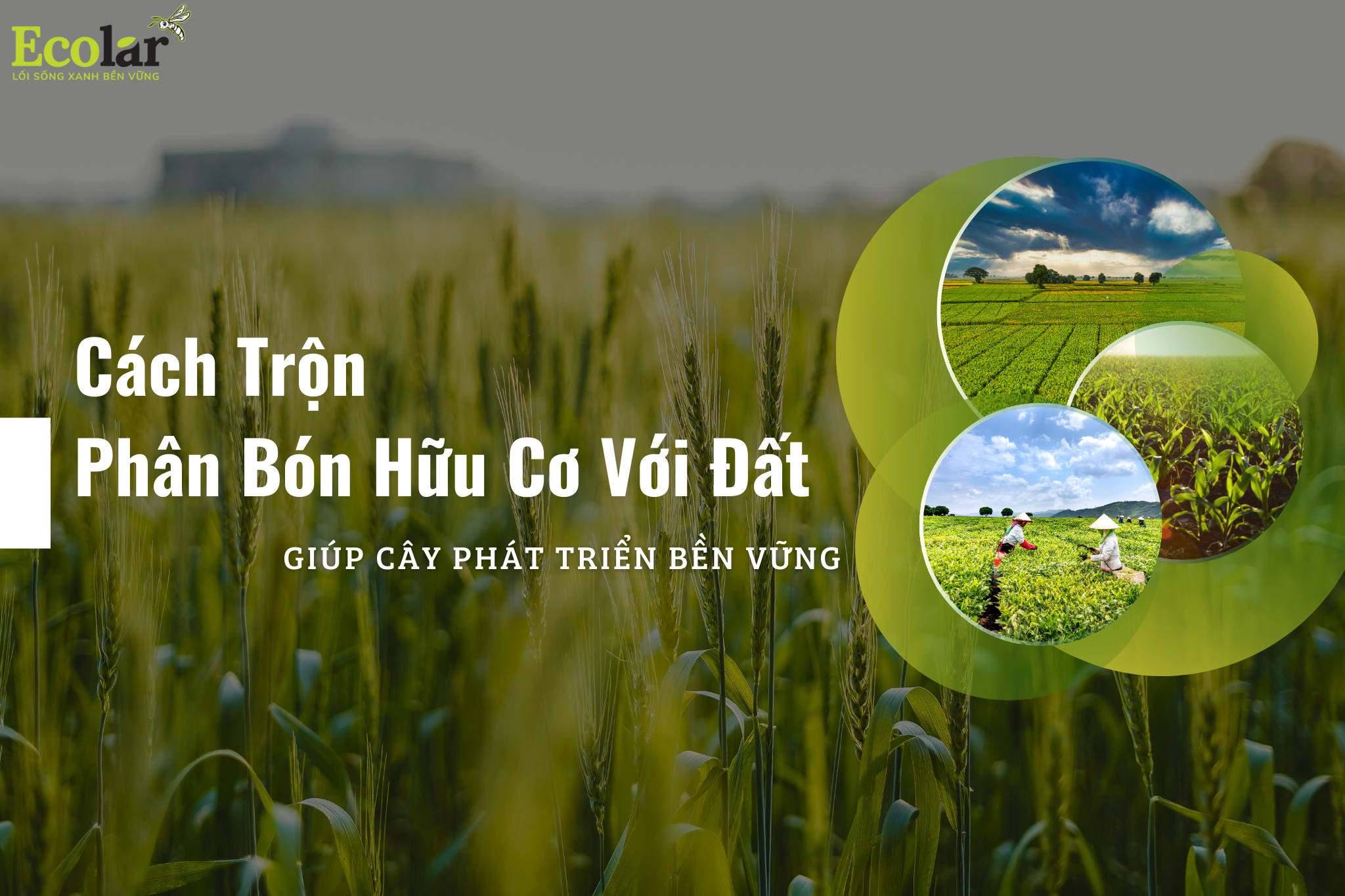 thum2 2 Bao Bì Ánh Sáng - Chuyên Gia Bao Bì PP Dệt