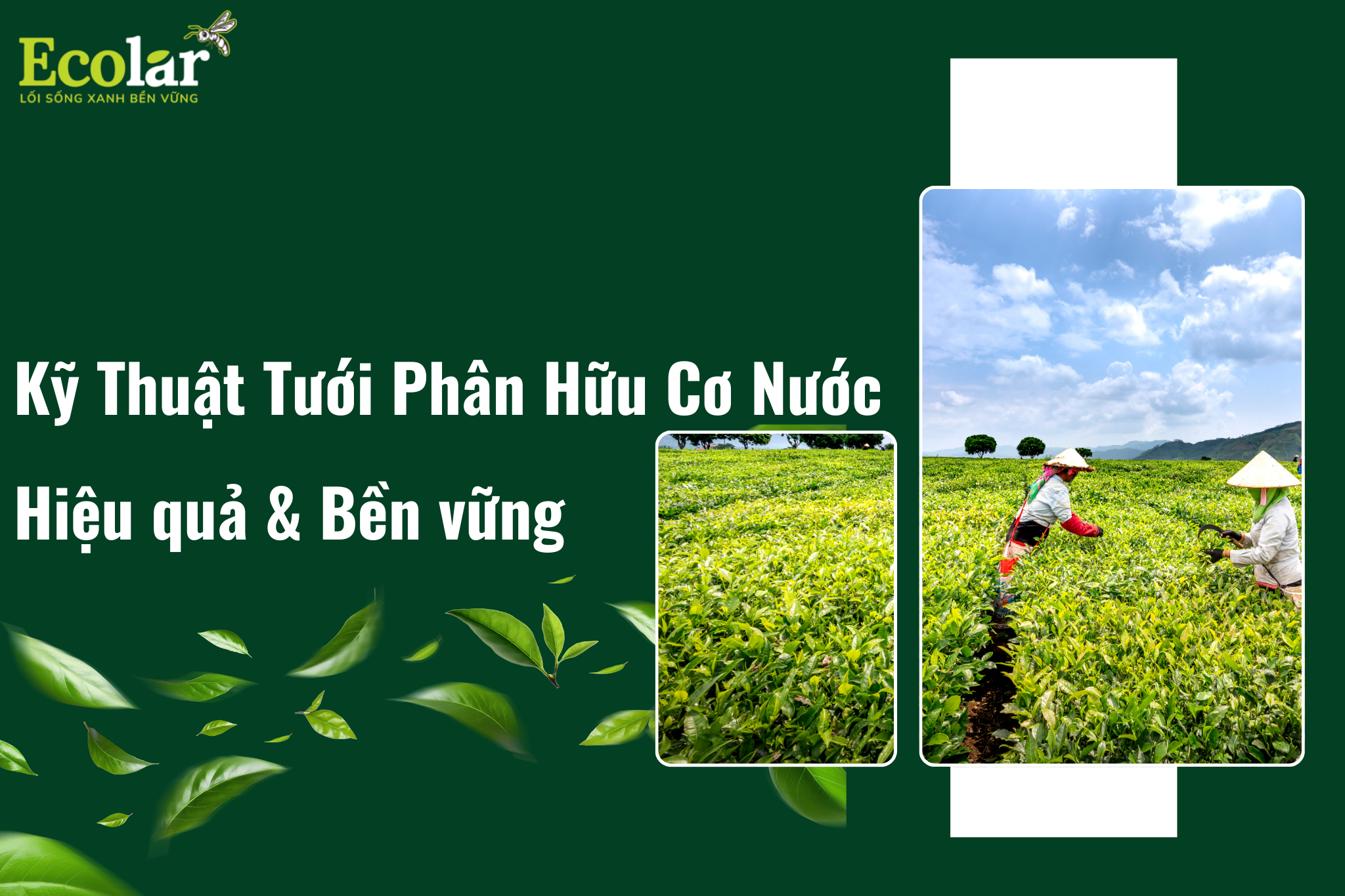 thum2 3 Bao Bì Ánh Sáng - Chuyên Gia Bao Bì PP Dệt